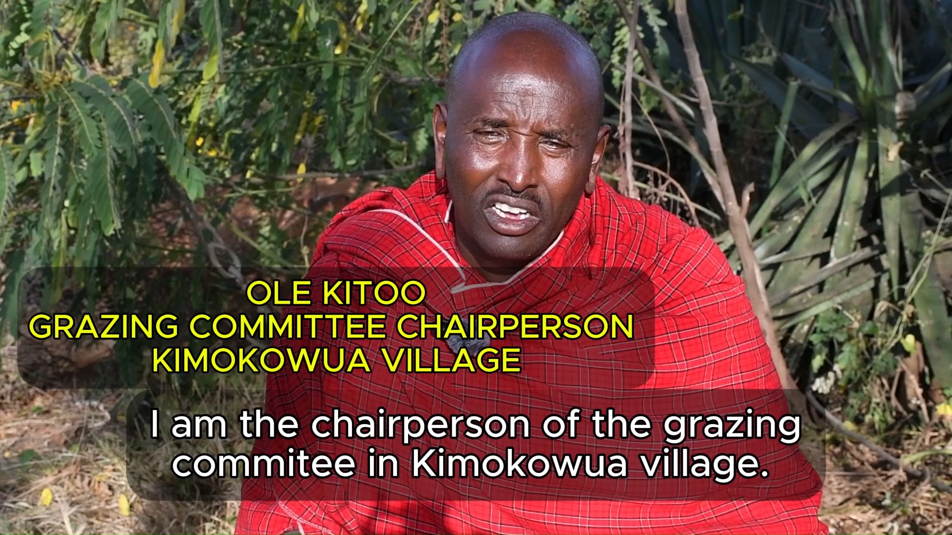 Ole Kitoo is the chairperson of the grazing committee in Kimokowua village. Grazing committees are an integral part of carbon projects. In each village, we work directly with grazing committees, ensuring that decisions are made by the people who are directly responsible for managing their livestock.
These committees include women, youth, and elders, fostering inclusive leadership. Every step follows the principles of Free, Prior, and Informed Consent (FPIC)—a globally recognized standard that ensures ongoing dialogue and decision-making at the village level.
Ole Kitoo describes the collaboration between neighboring communities and the process they follow to implement grazing plans, which follow traditional Maasai patterns.