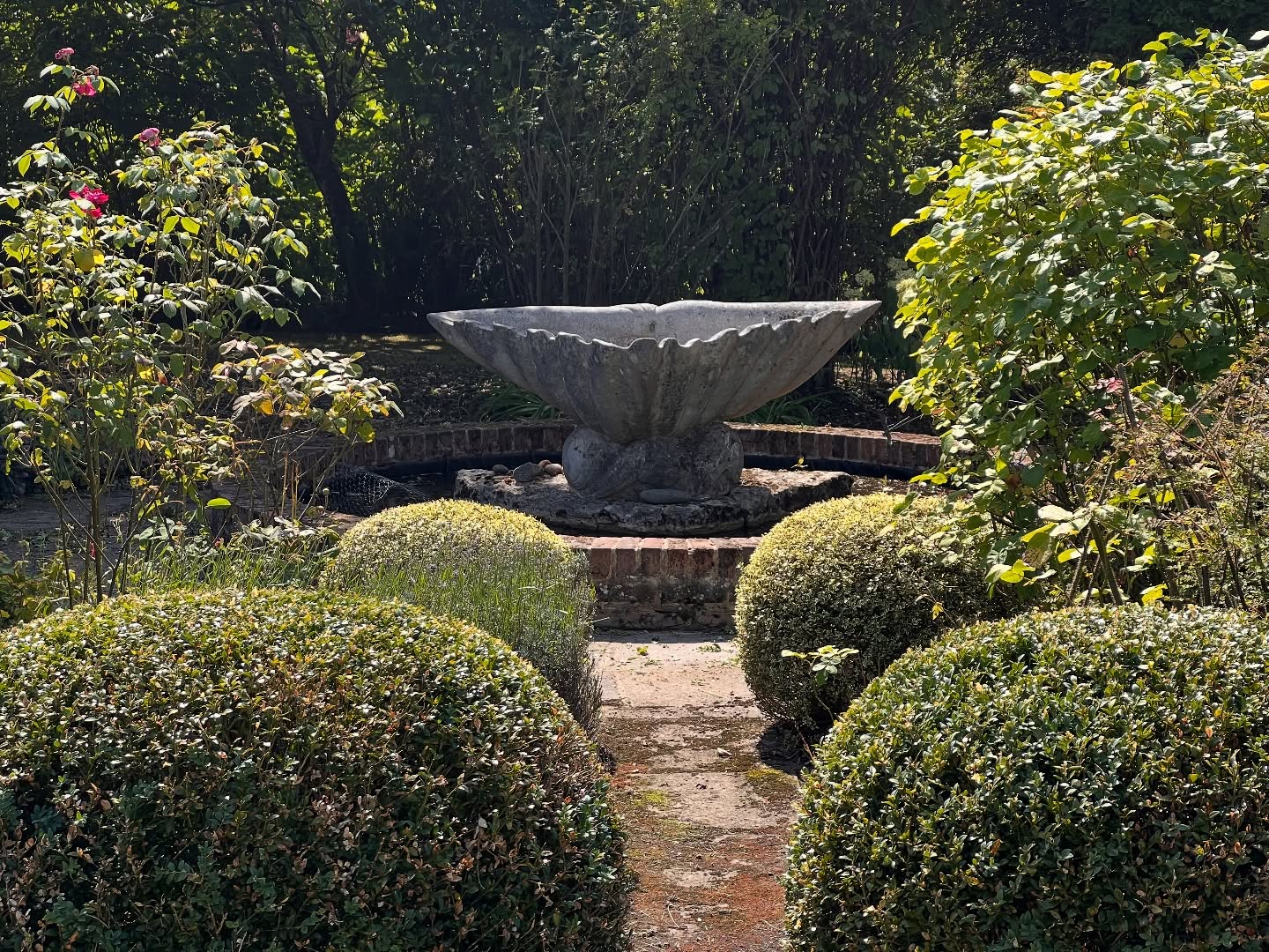 ✨ Monday’s job took us back to this beautiful country garden 🪴
We spent the day working on the borders, cutting back the large shrubs, and bringing the water fountain area back to its full glory. 💦🌿
There’s something so satisfying about restoring a peaceful corner like this – ready for the rest of summer to be enjoyed! 🌸🌳
#GardenRestoration #CountryGarden #WaterFountain #ShrubPruning #GardenBorders #GardenCare #BeforeAndAfter #GardenersOfInstagram