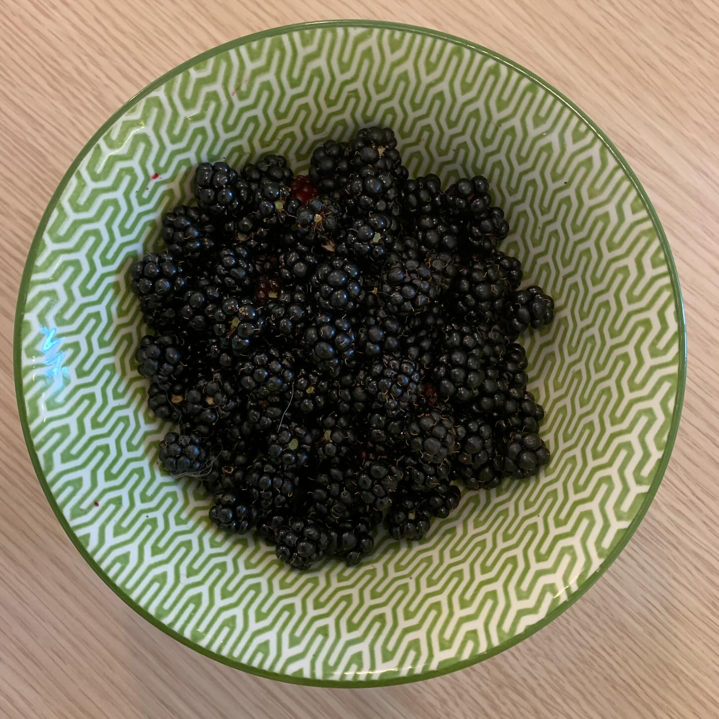 Chez nous on appelle ça des "meurons", les #mûres sauvages qu'on trouve dans les haies... Attention ça pique pour les ramasser 😅 Cette année on a dû tailler la haie donc j'en ai beaucoup moins 🥹🥹 ça se congèle super bien pour en faire des crumbles ou des clafoutis en hiver ☺️☺️.
.
#BonAppetit !
.
+ de 170 recettes et astuces sur
www.delicieuxsanssucre.com
Ou lien cliquable dans ma bio @delicieuxsanssucre
.
⚠️ Allez faire un tour sur la page du magnifique 🍀programme TAPAS🍀que je vous ai concocté, pour trouver l'alimentation qui vous conviendra à VOUS 🎯... Lien en bio...
>>Commentez YES et je vous envoie une surprise 😄😄
.
.
.
#Transformezvotrealimentation #alimentationIntuitive
#MangerMieux #MieuxManger #Alimentation #AlimentationSaine #Flexitarien #FaitMaison #DansMonAssiette #MangerSain #MangerSainement #cestropbon #EquilibreAlimentaire #ReequilibrageAlimentaire #DelicieuxSansSucre #RegimeIgBas #miam #SansGluten #gourmand #Bio
#LegumesDeSaison
#SansSucre #StopSucre #ArreterSucre #DetoxSucre #SansSucreRaffiné #ZeroSucre #SansSucres