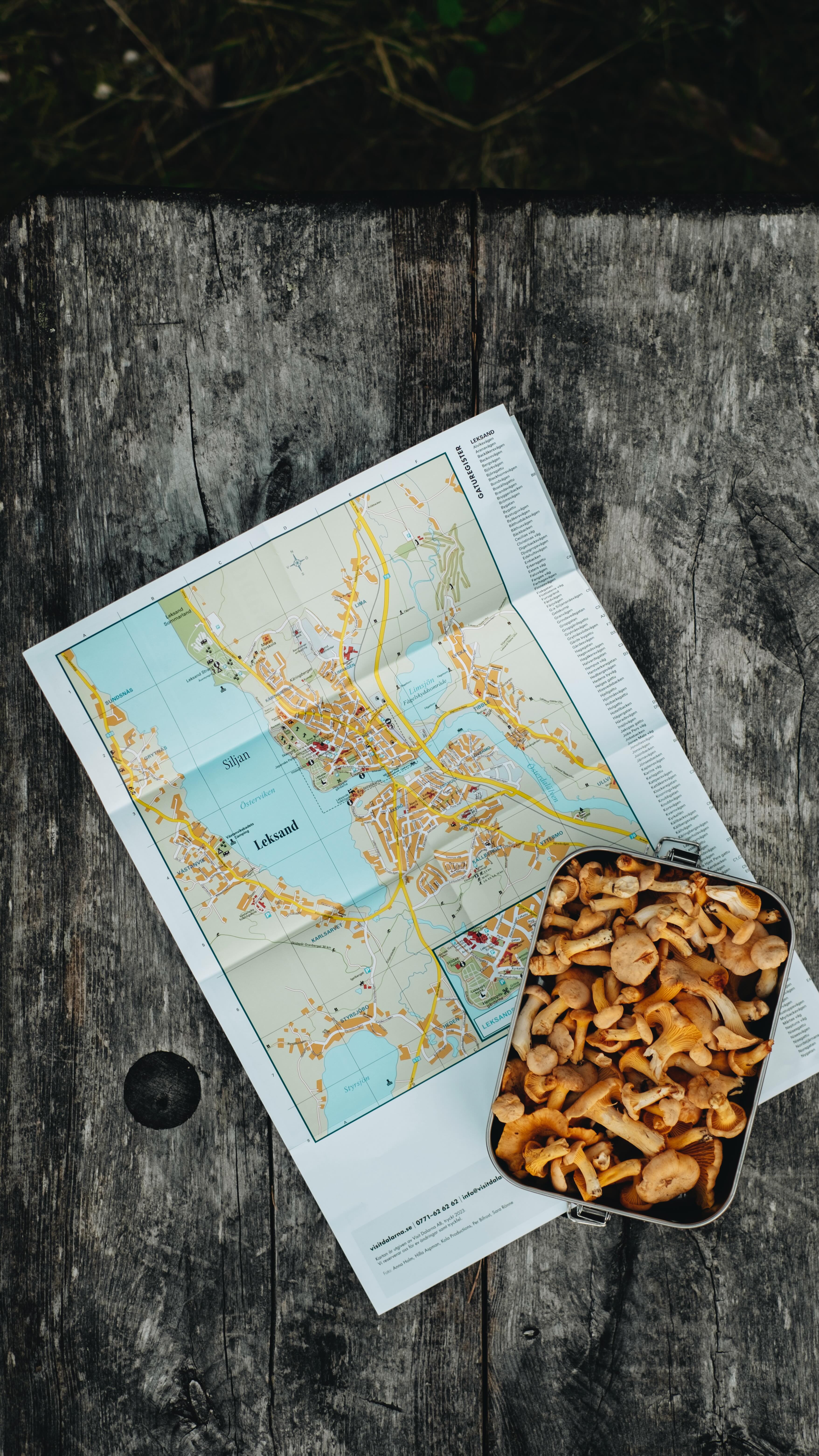 Genau vor einem Jahr in Schweden 🧺 🇸🇪
Ich wäre zwar gern auch in diesem Sommer in den Norden gedüst. All diese Sommer-, Sonnen- & Sammelmomente hier in Deutschland zu erleben, ist für mich aktuell jedoch genauso schön. 🤍
Statt in riesigen Seen zu planschen, kann ich unseren Tomaten beim Wachsen zusehen. Ich bin nicht auf der Jagd nach der leckersten Zimtschnecke, sondern wusel stattdessen in diesem Sommer ganz fröhlich durch die eigene Küche. Statt als Tourist ein anderes Land zu erkunden, versuche ich anzukommen. Pfifferlinge sammel ich hier, das Moos ist hier genauso weich und wenn ich die Ruhe suche, finde ich sie auch hier. 👂🏼✨
Wie verbringst du deinen Sommer am liebsten?
#storytelling #schweden #visitsweden #visitswedende #dalarna #chanterelles #dreamingtones #landkind #exploremore #naturephotography