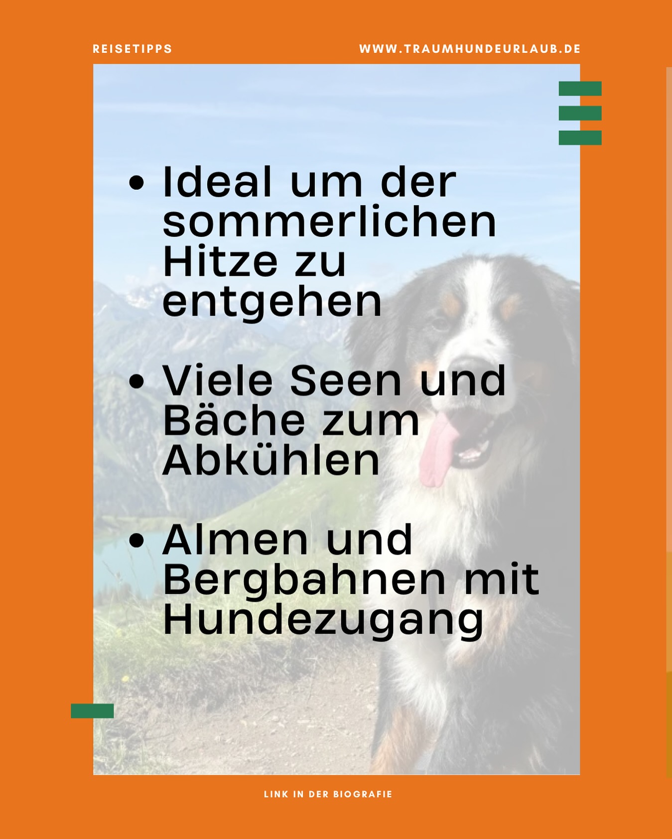 🐾⛰ Allgäu mit Hund – unsere Highlights:
• Breitenberg Pfronten 🚠🐕
• Wasserfälle Scheidegg 💧
• Rundweg Alpsee Immenstadt 🌲
• Almhütten mit Hund willkommen 🐶🥘
• Kässpatzen für dich – Wasser fürs Pfötchen 🥰
Mehr Tipps im Blog! 👉 Link in Bio
#allgäumithund #hundeurlaub #bergabenteuer #wandernmithund #pfotenglück #traumhundeurlaub #fellnase #wanderlust #outdoor #allgäu #hundeglück