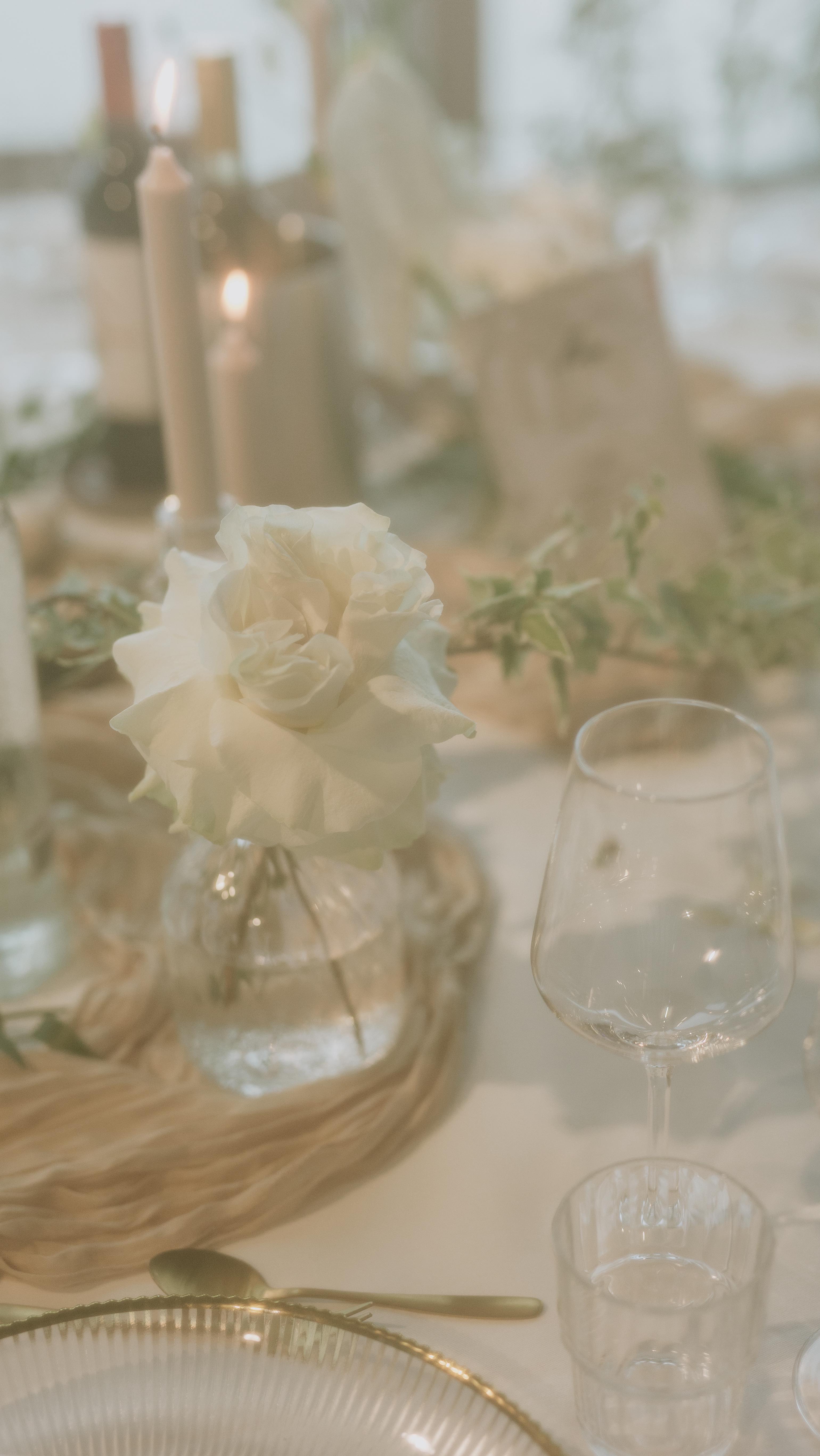 BEHIND THE SCENES
Are you curious what a wedding planner does all day long? Here you go:
One of my tasks is to collect, and prepare the stationery for the upcoming wedding. I always do that 2-3 days prior to the event to make sure all guests are definitely confirmed and the amount of guests is final.
We had this idea during planning the wedding stationery and I love the result. A ceremony program - absolutely common in USA- a thank you message for the guests and at the same time a fan, to keep guests cool during the ceremony!
Perfect!
Do you want to see more behind the scenes? What would you be interested in to see?
Photo: @portraits_by_jayasri
#weddingplanning #weddingstationery #weddingplanner #weddinginspiration #weddingbehindthescenes #weddingtrends #weddingphotography