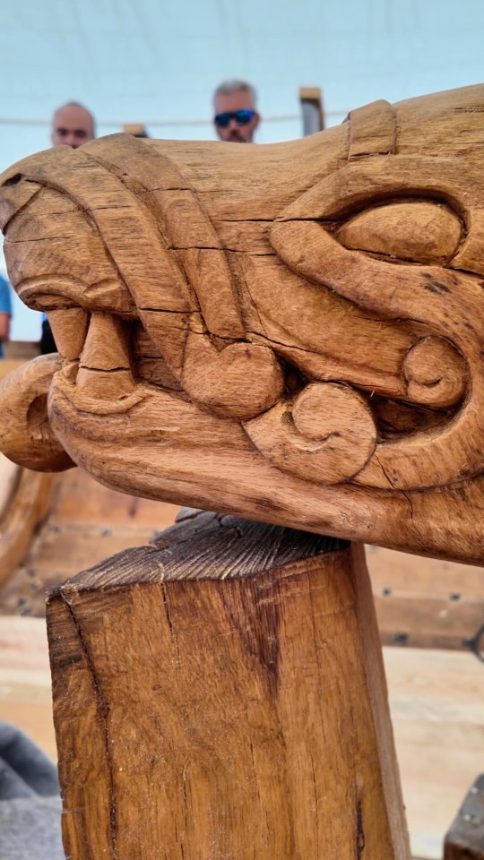 📣 This wolf's head, carved by the renowned woodcarver (Egil Jansson) @egilgustav will be mounted on the stem of the Hardraade Viking Ship.
Designed in the Ringerike style by Erik Aune Utistog and 3D-modeled by Knut-Olav Utistog, it will strike fear into all who see it. 🪓
#fenriswolf #woodcarving #hardraade #vikings #vikingship #norway #woodenboat #norsemythology #vikinglife