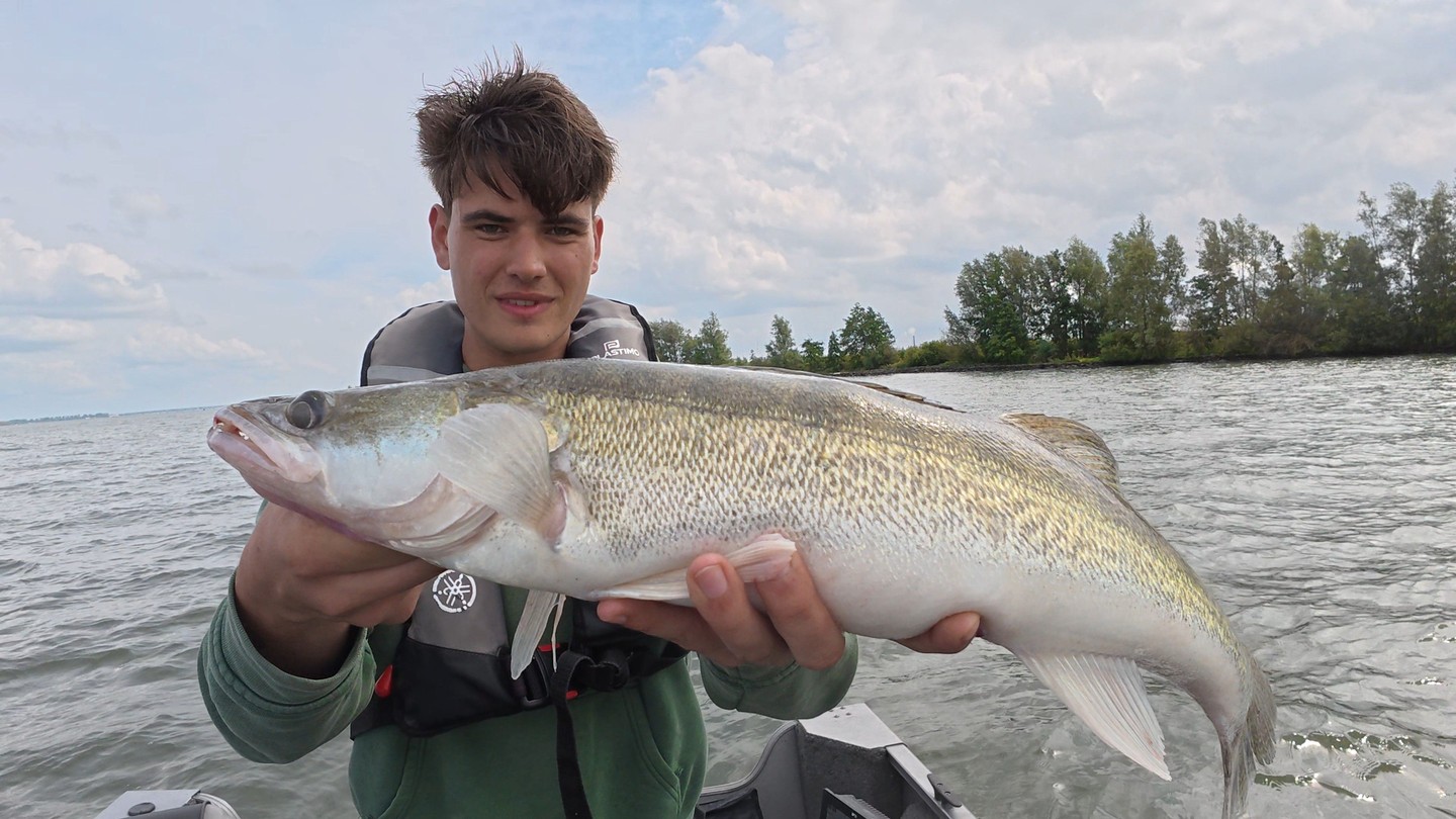 💥 BOEM! Wat een brute vangst van onze klant! Respect 💪
#yamahaprofishing #batterylabs #lurefishingguide #buya #proventocatch