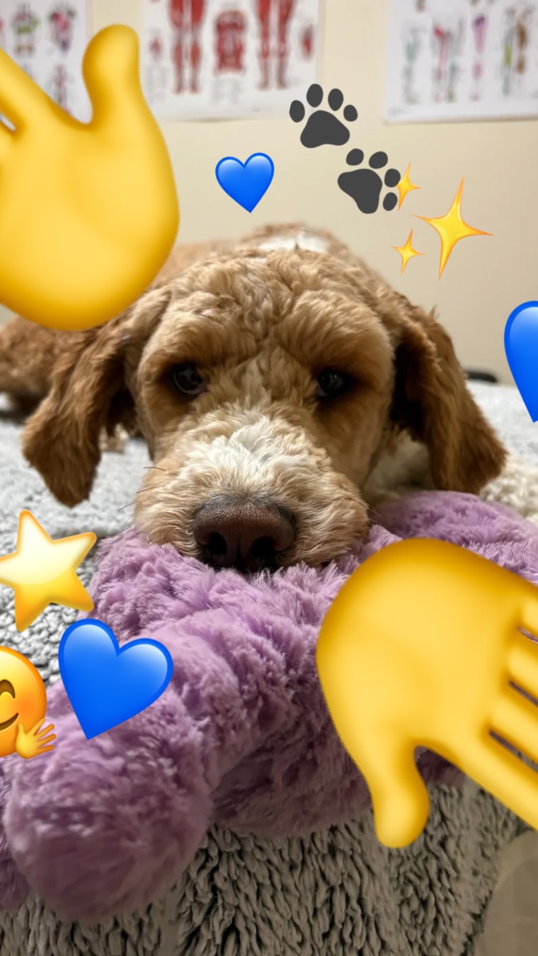 Happy Tuesday from baby Atlas (aka Ted)!💙✨