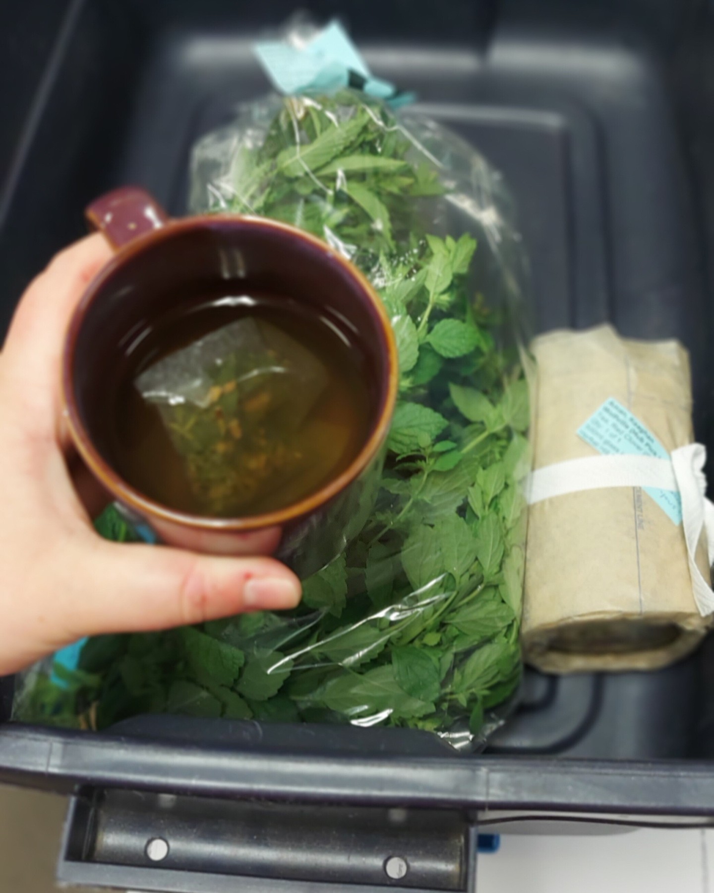 A snapshot of Keaghan enjoying a cup of Herbal Hill's genmaicha, and looking forward to trying the fresh tea herbs she ordered from Herbal Hill đ€©â
â
Order yours from www.wfm2go.caâ
â
@herbalhillfarmâ
â
#community #wolfvillefarmersmarket #wolfville #annapolisvalley #novascotia #farmersmarket #wfm2go #shoplocal #eatlocal #buylocal #supportlocal #freshproduce