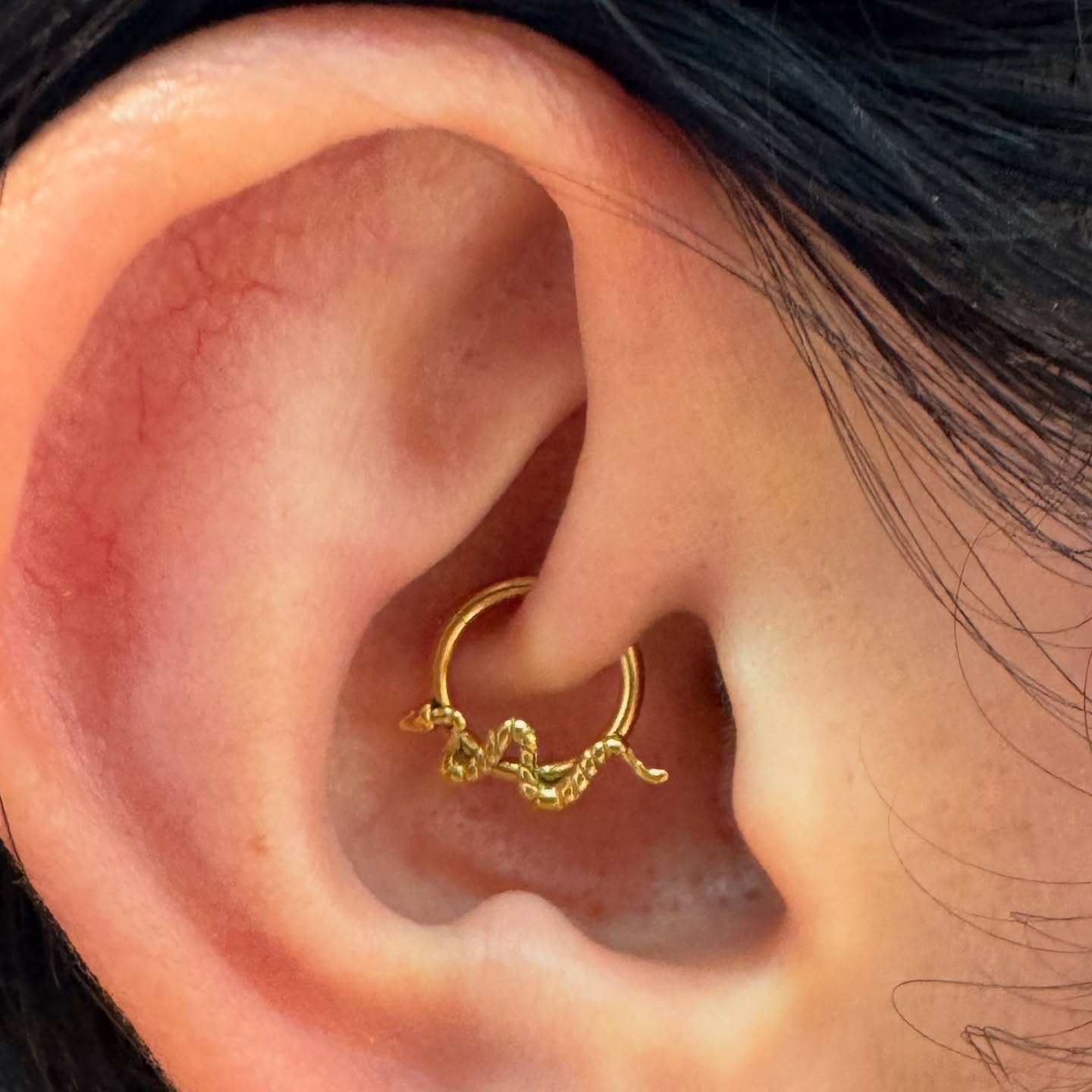 ✨ Proof that patience pays off! This gorgeous healed Daith is shining bright and rocking our stunning titanium snake ring 🐍💎 — available in store now! Perfect placement, perfect sparkle. #HealedPiercing #DaithPiercing #SnakeRing #TitaniumJewellery #EarGoals