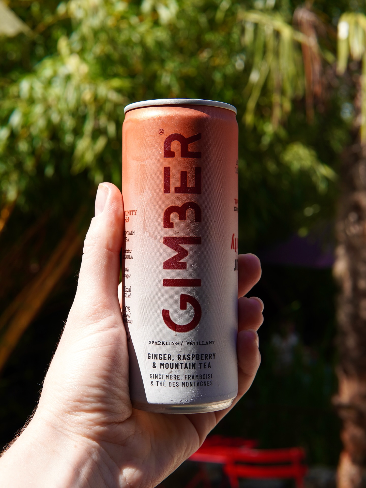 On s’hydrate avec @gimber_drink 🥤🥵
Boisson à base de gingembre, framboise et thé des montagnes 🏔️
Parfait pour braver la canicule Normande 🌞
#normandie #normandietourisme #eure #giverny #givernyfrance #givernymonet #givernygardens #gimber