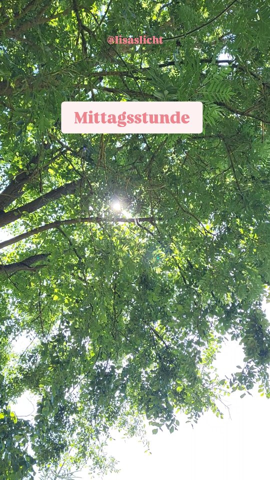 Ton an.
Augen zu.
Lass es zu.
Wenn du wieder aufwachst, bist du eine andere. 🌻
#mittagsstunde #mittagsstundhatgoldimmund #august #sommerliebe #nature #nervensystem #nervensystemregulieren