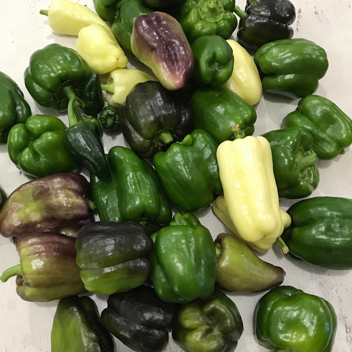 Peppers be popping! Fresh clean ingredients matter to us at O'Mara's. Come taste the difference.