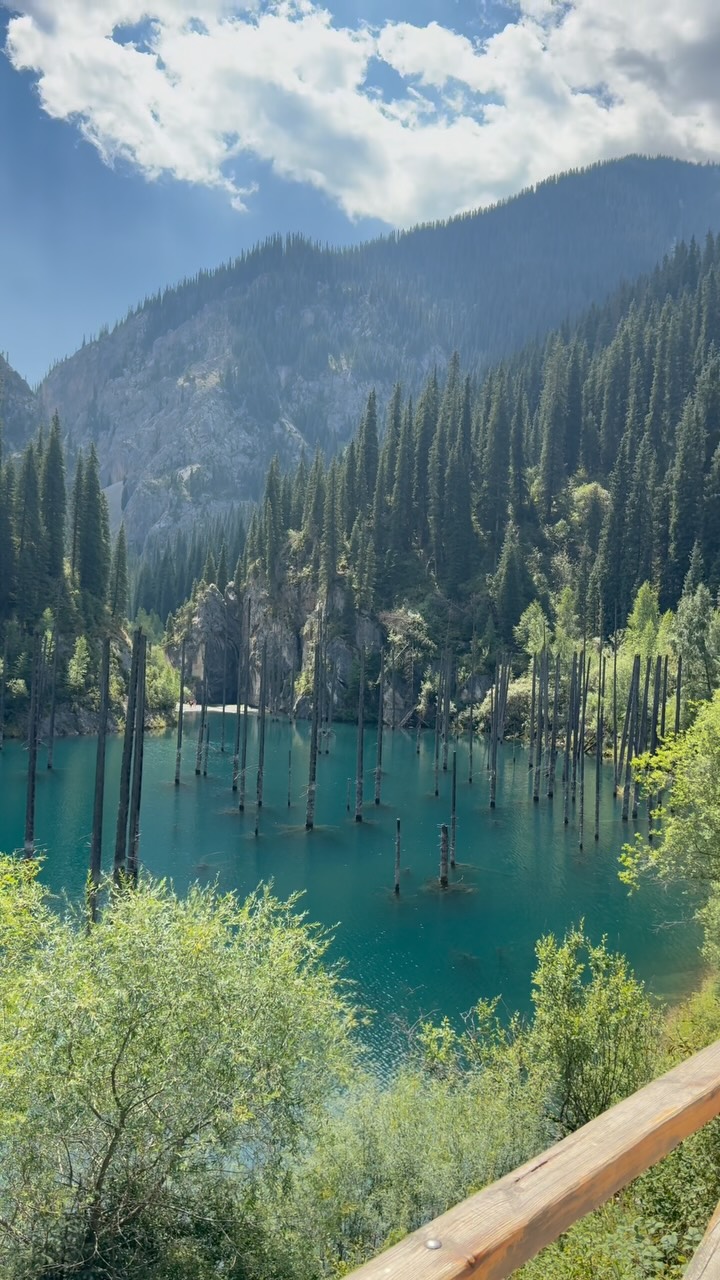 Hiking through pine trees… and ending up in another world. Mother natures artwork at its finest. 🇰🇿#qingtravels #kazakhstan #KaindyLake #KazakhstanTravel #VisitKazakhstan #KazakhstanNature #AlmatyRegion #CentralAsiaTravel #DiscoverKazakhstan #KazakhstanBeauty #KazakhstanTourism