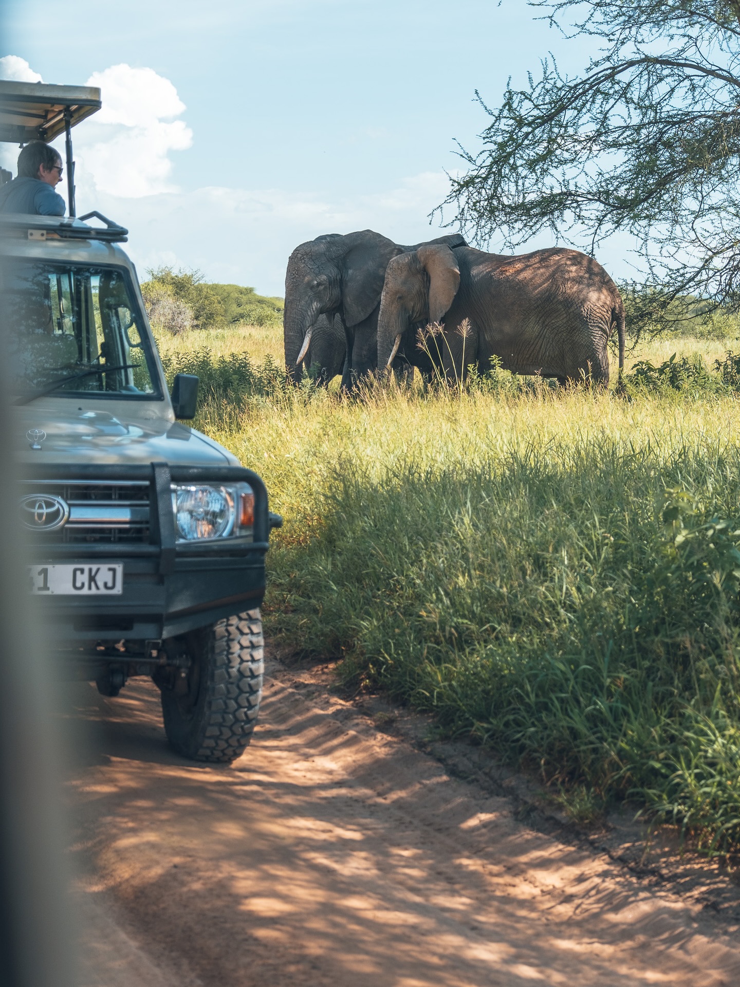 Staub, Sonne & wilde Blicke … einfach Afrika pur. 🦒🐘🦓
Lust bekommen, selbst auf Safari zu gehen?
Auf unserem Blog findest du unsere ultimative Packliste für deine Safari. Damit bist du perfekt vorbereitet! 👉 Link in Bio (weltallerliebst.de)
.
.
.
#safari #reise #reisefotografie #travelphotos #tansania #tansaniasafari #safaritanzania #travelgram #reiseblog #reiseblogger #reiseinspiration #wildlifephoto #wildlifephotographer #tansaniareisen #tanzaniasafari🇹🇿 #elefant #giraffe #löwe #zebra #safarivibes #afrikaabenteuer #wildlifelove #reisefieber #traveltips #packlistesafari