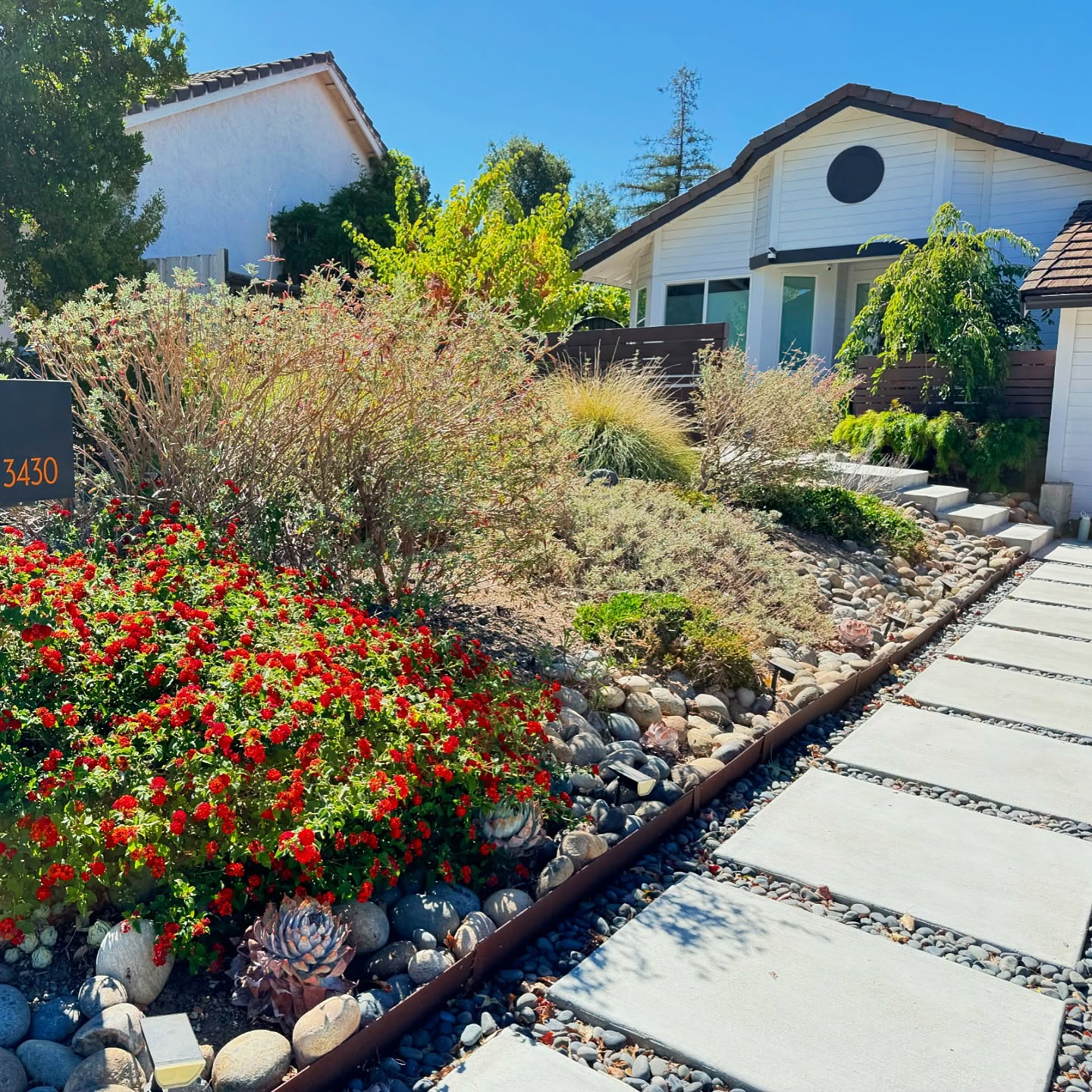These clients were some of Golden State Gardens earlier clients, and we were so happy to stay connected and see how this garden has been well maintained. After 5 years since installation, the clients needed some plant update recommendations and maintenance advice/services. We were able to provide them with a simple consultation for a few fill in plants, performed a little fine gardening, and taught them where to prune to highlight certain plants.
.
.
.
#landscapedesigner #landscapedesi̇gn #californianativeplants #lowwaterlandscape #lowmaintenancelandscape #covidgardening #californialandscapedesign