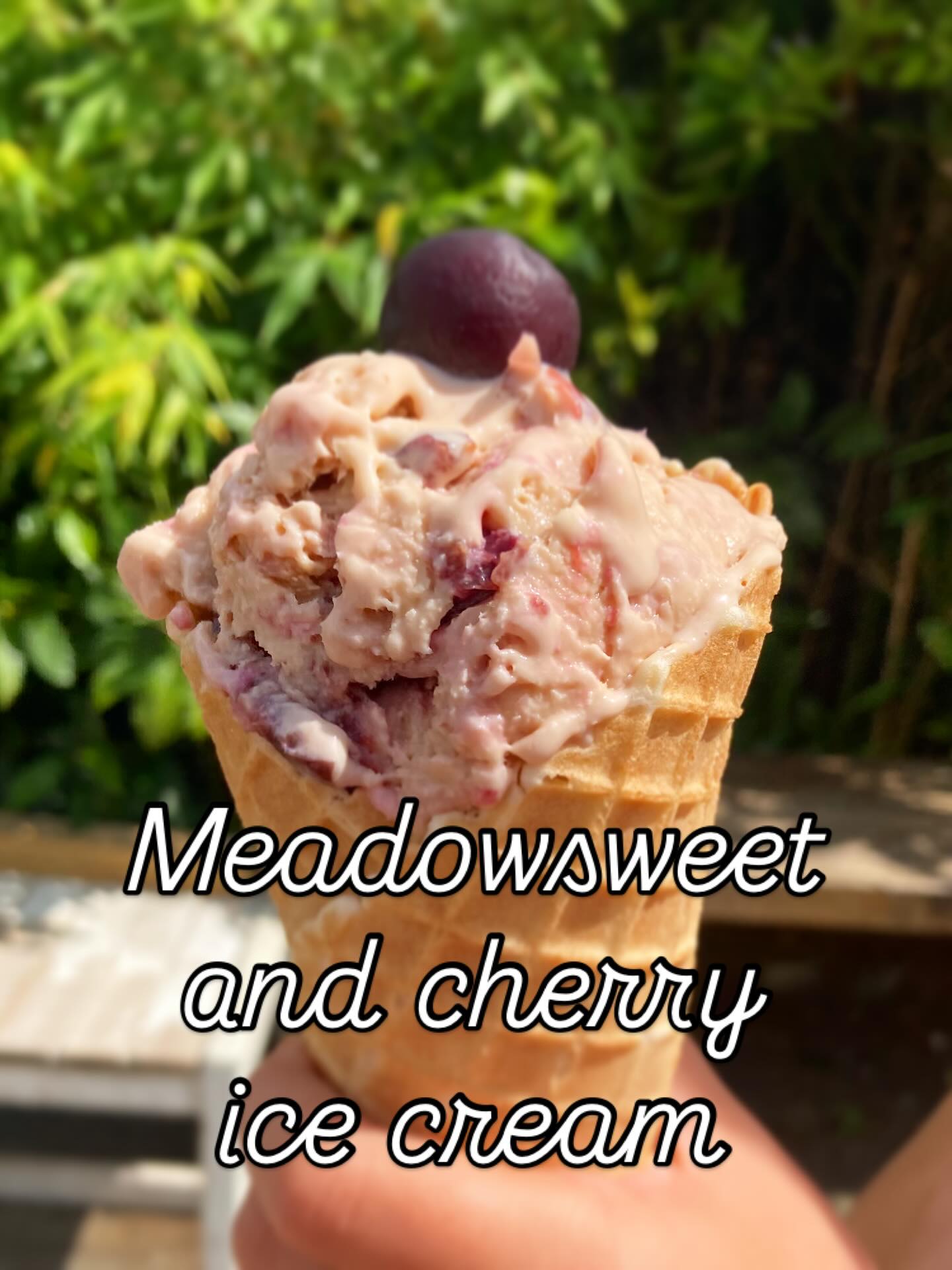 A gift from me to you during this heatwave… meadowsweet and cherry ice cream, aka The Bakewell!
I love how this turned out and I’m sure you will too!
Meadowsweet is Filipendula ulmaria, a stunning perennial in the rose family with creamy clusters of flowers that smell and taste like almonds. The plant contains salicylic acid and was the blueprint for aspirin.
To make this, I infused the flower heads in double cream and milk, bringing just to the boil and removing immediately to infuse and cool. Egg yolks and caster sugar are whisked together until pale yellow then heat the cream/milk infusion again, passing through a sieve to make a custard based ice cream. Freeze for a few hours, break up ice crystals that have formed and repeat. Meanwhile I pitted cherries and popped them in a saucepan with a little sugar, heated to sweeten them and then added a little cornflour into the mix to thicken.
Stir the cherries loosely through the ice cream and voila!!
Bakewell ice cream! 🫶
#icecream #heatwave #summer #foraging #forager #summervibes #homemade #homemadeicecream #diy #recipe #meadowsweet #filipendula #bakewell #foragedflavours #kitchenexperiments