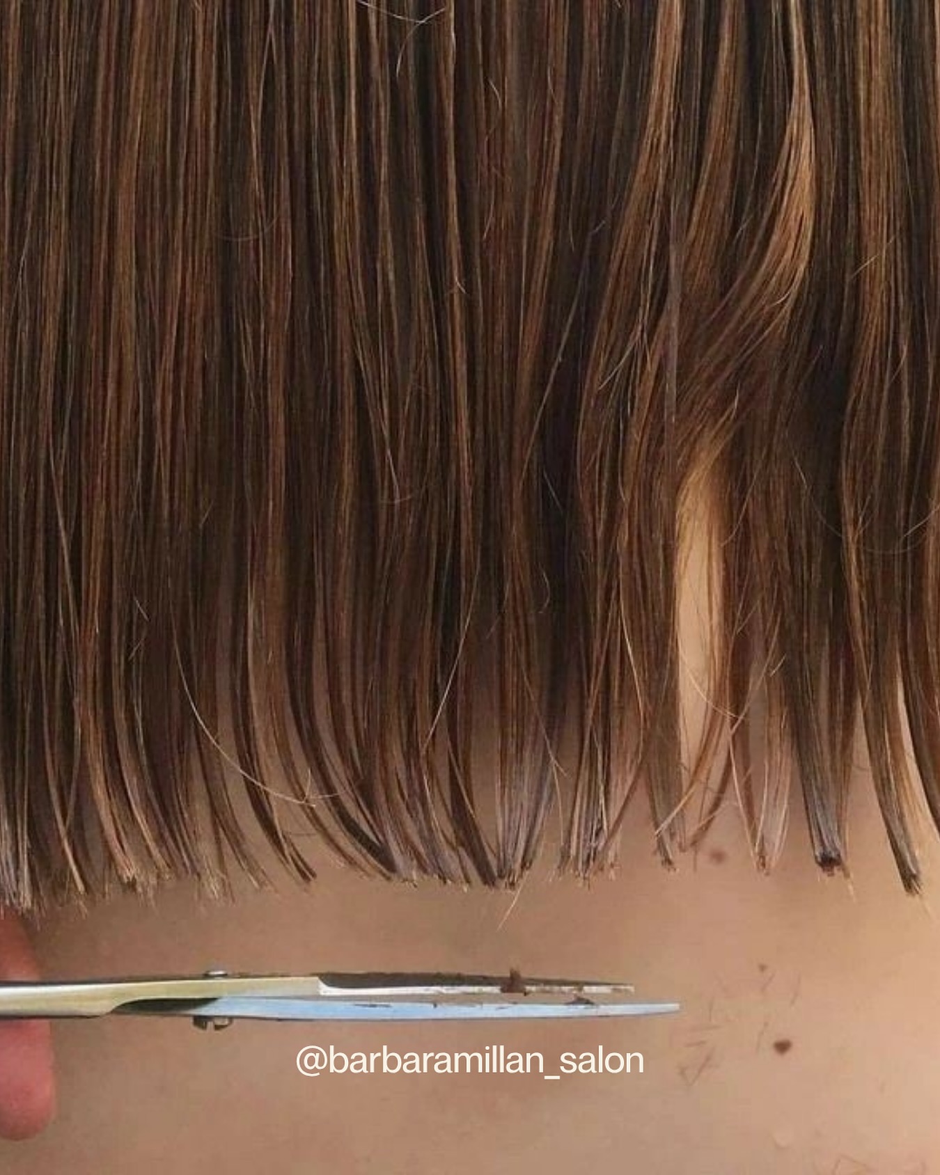 Después del verano, tu melena también necesita vacaciones… ¡pero de las puntas abiertas!
El sol, el mar y el cloro son un cóctel perfecto para dañar el cabello. Septiembre es el momento ideal para sanearlo y devolverle toda su fuerza y brillo.
Nosotras volvemos en septiembre, listas para aconsejarte el corte que mejor se adapte a ti y mimar tu pelo como se merece.
✨ Pide ya tu cita y empieza el nuevo curso con melena renovada (link en bio)✨
Bárbara Millán | Salón de belleza
C. Divina Pastora, 72