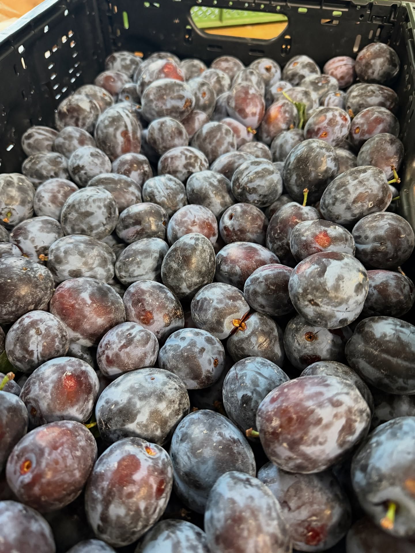 Es war wieder Zeit für unseren jährlichen Zwetschgenkompott-Tag!🥰
So kannst du das ganze Jahr über Frühsli mit deinem Lieblingskompott bestellen 🫶.
#frühlingsküche #café #caféfrühling #frühling #coffee #food #breakfast