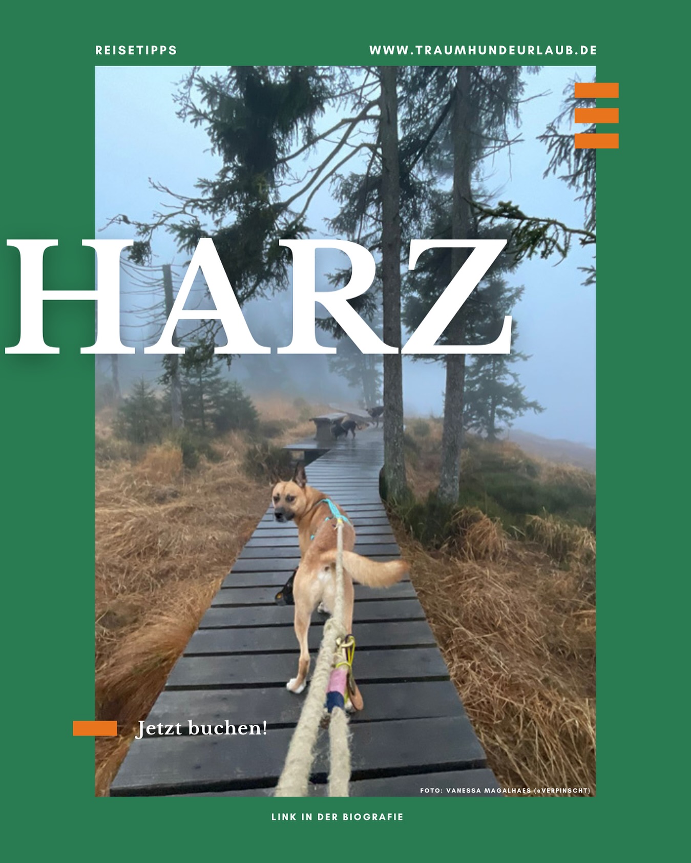 🐾🌲 Harz mit Hund – Märchenwald & Abenteuerpfoten!
Erkunde mystische Wanderwege, staune an den Wasserfällen, fahr mit der Brockenbahn 🚂🐕 und finde hundefreundliche Einkehrspots.
Unser neuer Blogpost verrät dir die schönsten Routen, Geheimtipps & Must-Sees für dich und deine Fellnase.
👉 Link in Bio!
#harzmithund #hundeurlaub #wandernmithund #pfotenabenteuer #naturpur #traumhundeurlaub #hundeglück #harzmountains #harzliebe #blogpost