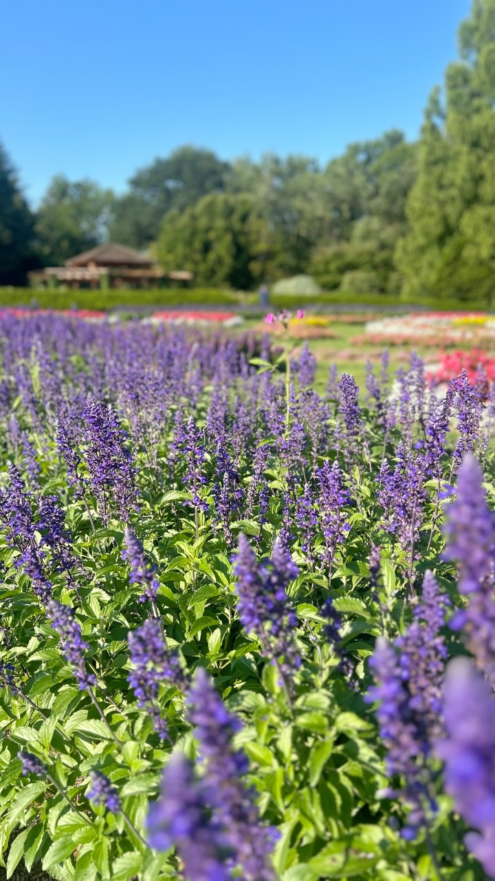 Sometimes clarity and certainty comes when we’re willing to “windex” away the distractions, fear, and self-doubt. It’s not always easy—but with support and practice, we can shift our perspective.
Seeing, feeling, and acting from a place of clarity and certainty changes everything.
what else is possible?
#whatelseispossible #bethelight #clarity #smallmomentsmanytimes #soulsjourney #believeinmiracles #loveoverfear