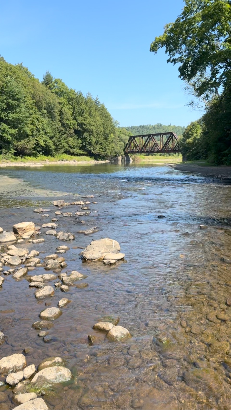 Dog days of summer! Get out there and enjoy it! 🐾🚲💦#lamoillevalleyrailtrail #lvrt #bikevermont #dogdays #bikedog #johnsonvt #summerinvermont #dogsofinstagram