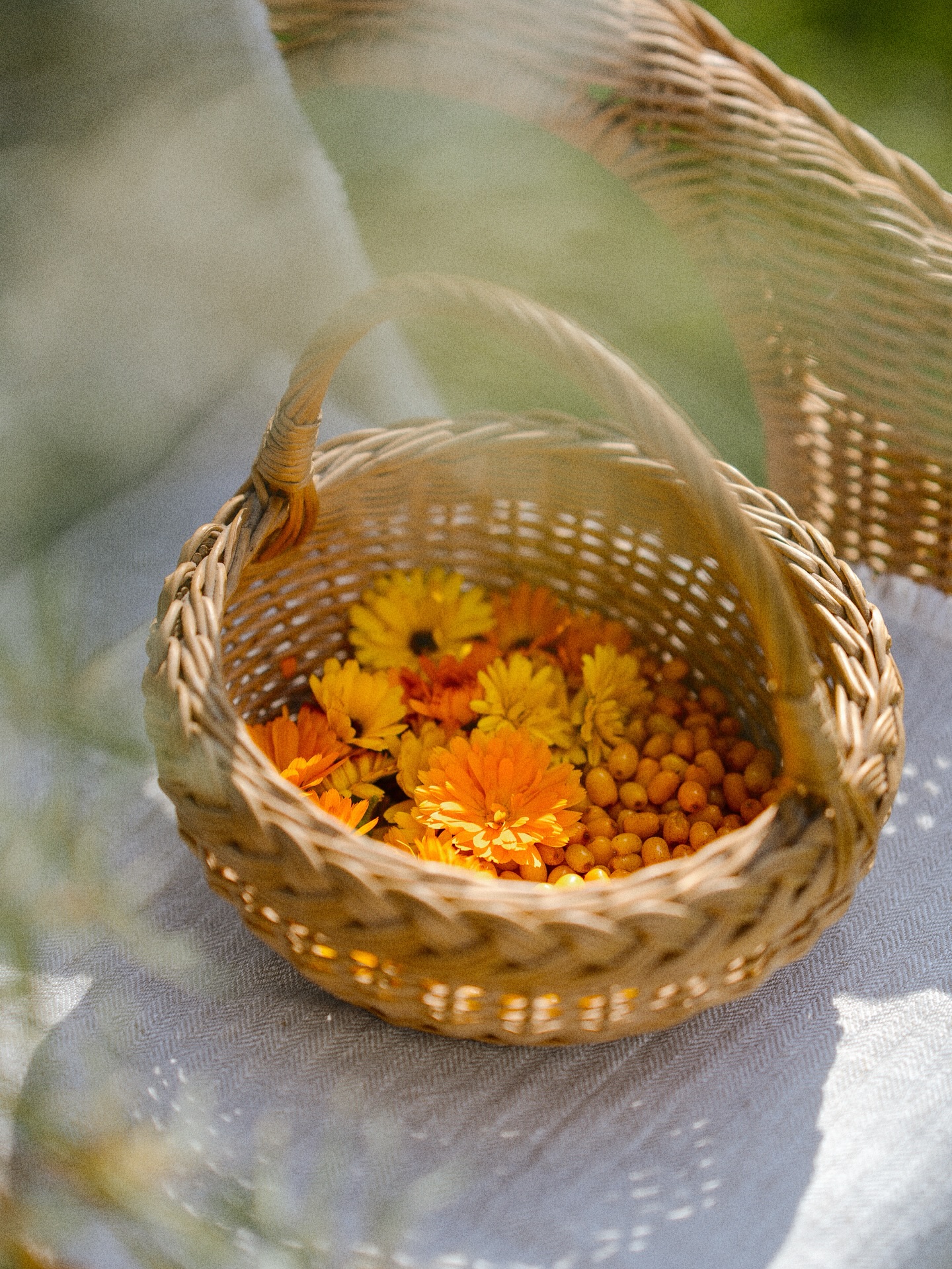 A sunshiney harvest of two of my favourite things. How beautiful is August? 🌞