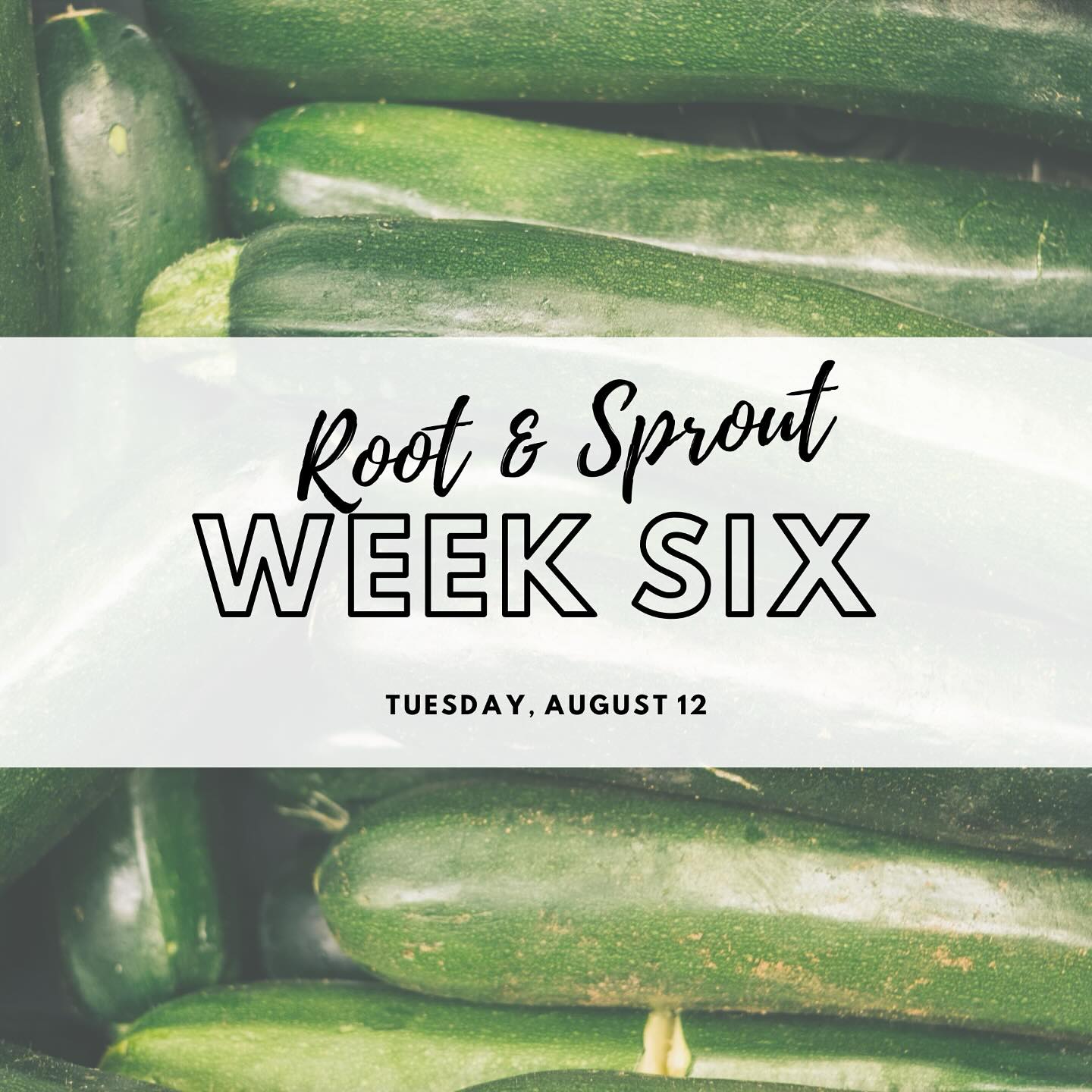 I’m a day late thanks to illness and spotty technology but CSA emails should be en route!
Our online market is also updated so ordering is open for CSA and non-CSA members!
Happy shopping and I’ll see you on Tuesday!