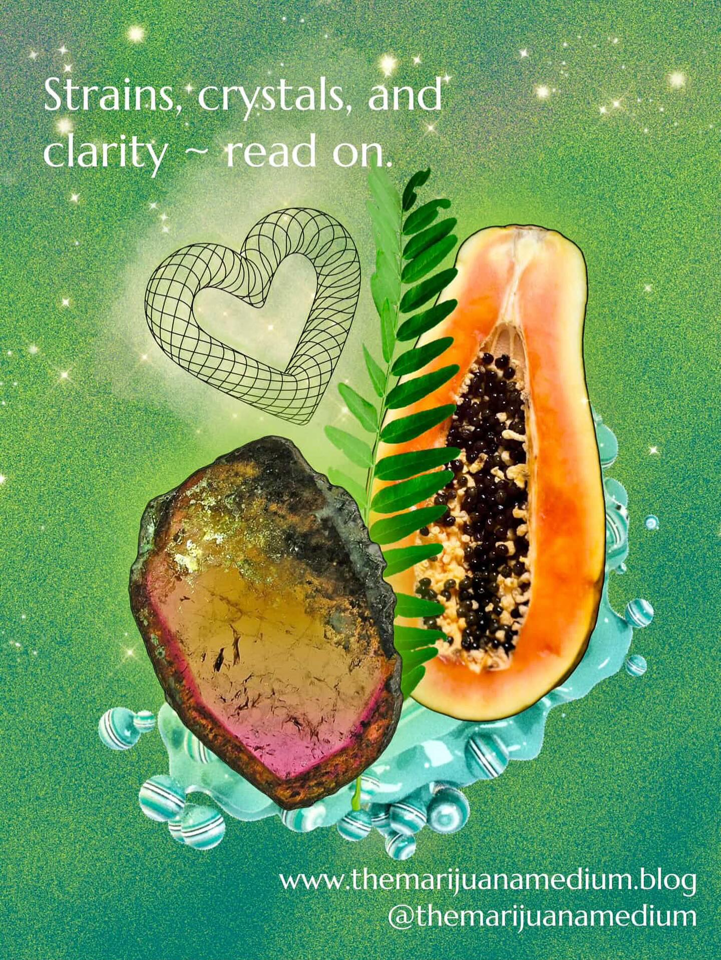 💚 The Marijuana Medium is a channel from the plant & the industry, through me, to you 🌱🔮
💚 Weekly channels are intended to aid with the energy that I’m channeling for the week.
✨Quote’s of the week
✨Crystal of the week
✨Poem of the week
✨Strain of the week
✨Product of the week
✨Song for your next sesh
💚 My Blog posts are based on a wide variety of topics that range from cannabis education, my experience in the industry, & spirituality.
Let me know in the comments if there are some topics you guys want to read about & I’ll do my best to touch on them!
💚 To receive my articles to your email, subscribe for free at the bottom of my site. I only email when a new post drops! ⚡️
& if you feel compelled, please share this post with a friend who enjoys learning about cannabis & spirituality 💖🧚🏼
With love & gratitude,
The Marijuana Medium 🌹
Graphic design 💫
curated by my talented and beautiful friend @monetnyree @monetnyree.graphics @monetnyree.photo
She is one of the most talented people I’ve ever had the blessing of knowing! Be sure to give her a follow and check out her work! She does it ALL, a true ARTIST ✨💫
#poetry #cannabis #education #quotes #art #music #strains #blog #articles #motivational #spirituality #medium #themarijuanamedium