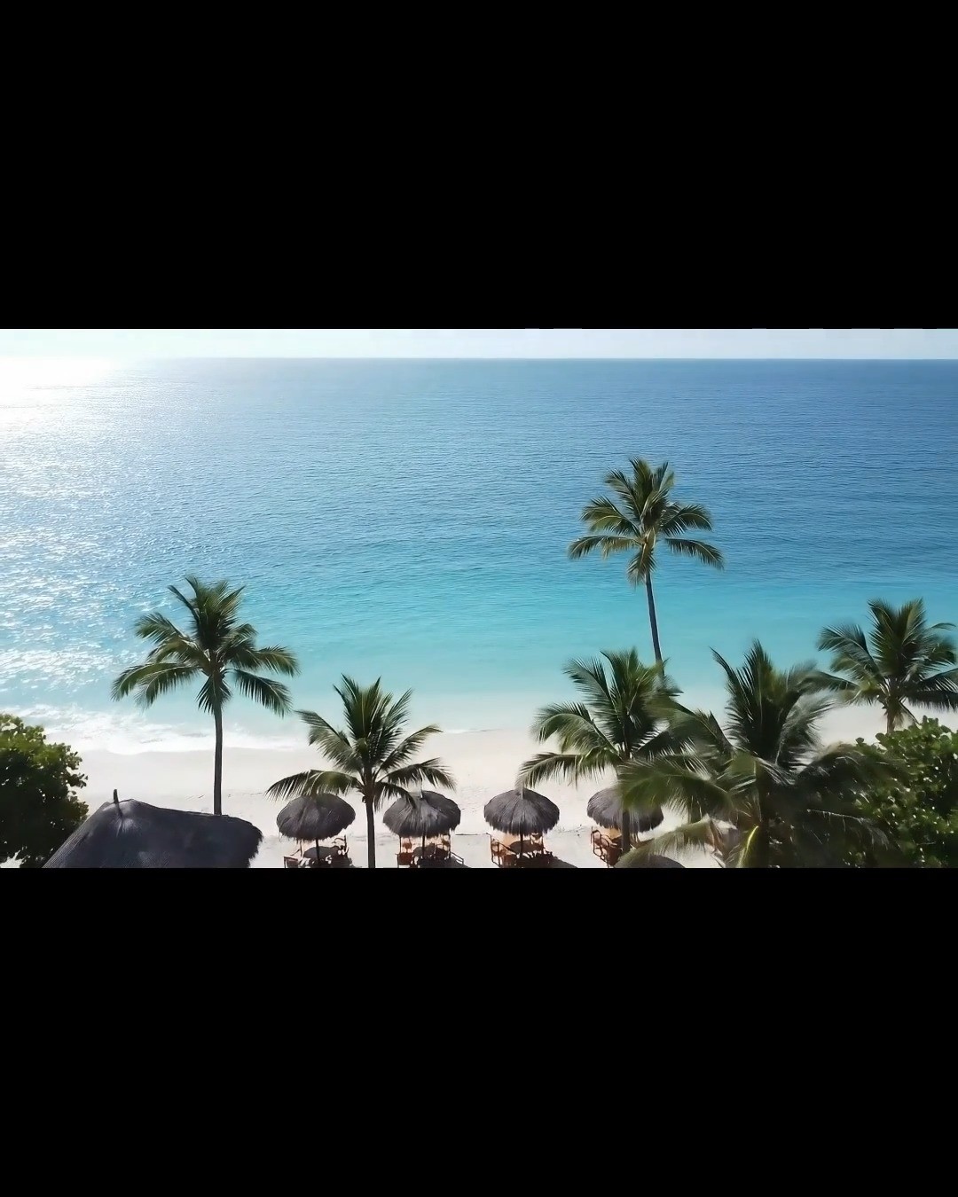 🌴🌊 𝑽𝑶𝑮𝑳𝑰𝑨 𝑫𝑰 𝑴𝑨𝑹𝑬? 🌊🌴 ⠀⠀⠀⠀⠀⠀⠀
⠀⠀⠀⠀⠀⠀⠀⠀⠀⠀⠀⠀⠀⠀⠀⠀⠀
𝑁𝑜𝑛 𝑠𝑒𝑟𝑣𝑒 𝑙𝑎 𝑠𝑝𝑖𝑎𝑔𝑔𝑖𝑎 𝑝𝑒𝑟 𝑠𝑒𝑛𝑡𝑖𝑟𝑠𝑖 𝑖𝑛 𝑣𝑎𝑐𝑎𝑛𝑧𝑎. 𝐴𝑛𝑐ℎ𝑒 𝑎𝑑 𝑎𝑔𝑜𝑠𝑡𝑜, 𝑖𝑙 𝑔𝑢𝑠𝑡𝑜 𝑛𝑜𝑛 𝑣𝑎 𝑖𝑛 𝑣𝑎𝑐𝑎𝑛𝑧𝑎! 𝐶𝑜𝑛 𝑖𝑙 𝑛𝑜𝑠𝑡𝑟𝑜 𝑚𝑒𝑛𝑢̀ "𝑂𝑚𝑎𝑔𝑔𝑖𝑜 𝑎𝑙𝑙𝑎 𝐶𝑜𝑠𝑡𝑎 𝐿𝑎𝑧𝑖𝑎𝑙𝑒", 𝑝𝑜𝑟𝑡𝑖𝑎𝑚𝑜 𝑖 𝑠𝑎𝑝𝑜𝑟𝑖, 𝑖 𝑝𝑟𝑜𝑓𝑢𝑚𝑖 𝑒 𝑙'𝑎𝑙𝑙𝑒𝑔𝑟𝑖𝑎 𝑑𝑒𝑙 𝑚𝑎𝑟𝑒 𝑑𝑖𝑟𝑒𝑡𝑡𝑎𝑚𝑒𝑛𝑡𝑒 𝑞𝑢𝑖 𝑎 𝑇𝑒𝑠𝑡𝑎𝑐𝑐𝑖𝑜.
Un'esperienza che sa di sole, di autentica cucina di pesce e di pomeriggi spensierati. Ti aspettiamo per vivere insieme la tua "villeggiatura del gusto", dove la tradizione romana incontra l'essenza dell'estate.
Vi aspettiamo per celebrare il Ferragosto con un'esperienza che sa di sole e di autentica cucina di pesce.
Ricorda i nostri orari:
Per tutto il periodo di agosto, siamo aperti solo a cena.
Per Ferragosto, in via eccezionale, siamo aperti anche a pranzo!
Ti aspettiamo per vivere insieme la tua "villeggiatura del gusto", dove la tradizione romana incontra l'essenza dell'estate.
Regia di @fradeatails
𝐈𝐧𝐟𝐨 𝐞 𝐏𝐫𝐞𝐧𝐨𝐭𝐚𝐳𝐢𝐨𝐧𝐢:
📍 Via Alessandro Volta 36, Testaccio, Roma
📞 06 5741369
📧 info@mastro-giorgio.it
🌐 Prenota ora: LINK IN BIO!
#MastroGiorgio #VogliaDiMare #CucinaDiMare #OmaggioAllaCostaLaziale #EstateRomana #FoodieRoma #Testaccio #RomaRistoranti #CucinaViva #ViaggioNelGusto #SaporiAutentici #VacanzeRomane #PranzoFerragosto #FerragostoRoma #ApertoAdAgosto #ReelItalia #FoodReel #RistorantiDiRoma