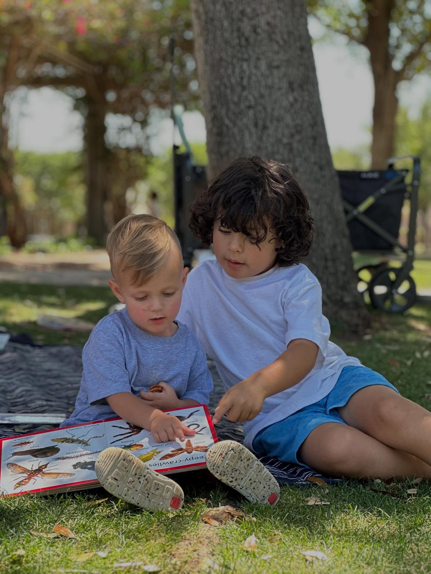 At Wild Wonders, big kids become leaders, little ones learn faster, and friendships blossom across ages. 🌿
Our classes intentionally mix toddlers and preschoolers (18 months–4 years) — and it’s one of the best decisions we’ve ever made!
Discover why this approach sparks growth, confidence, and connection — read our latest blog via the link in bio.