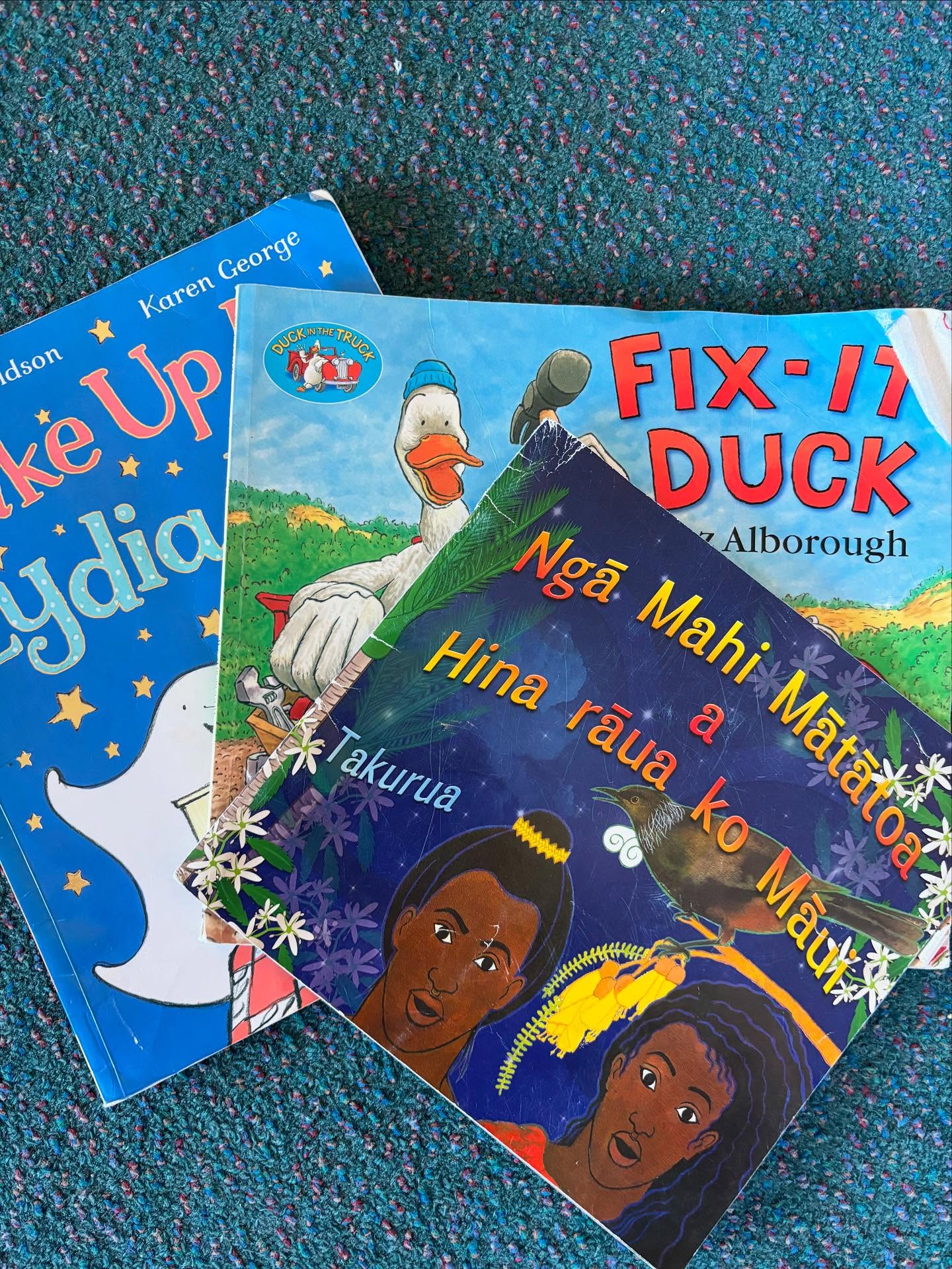 We would love to invite the friends and whānau of our tamariki to join us and share pukapuka (books). If anyone would like to come in and read the children a story—either one from home or one from here—we would be thrilled. This is a wonderful way to support our literacy and oral language focus. Eunice suggested if you speak a different language at home, you could bring a book in that language to share. Anytime, just let us know.