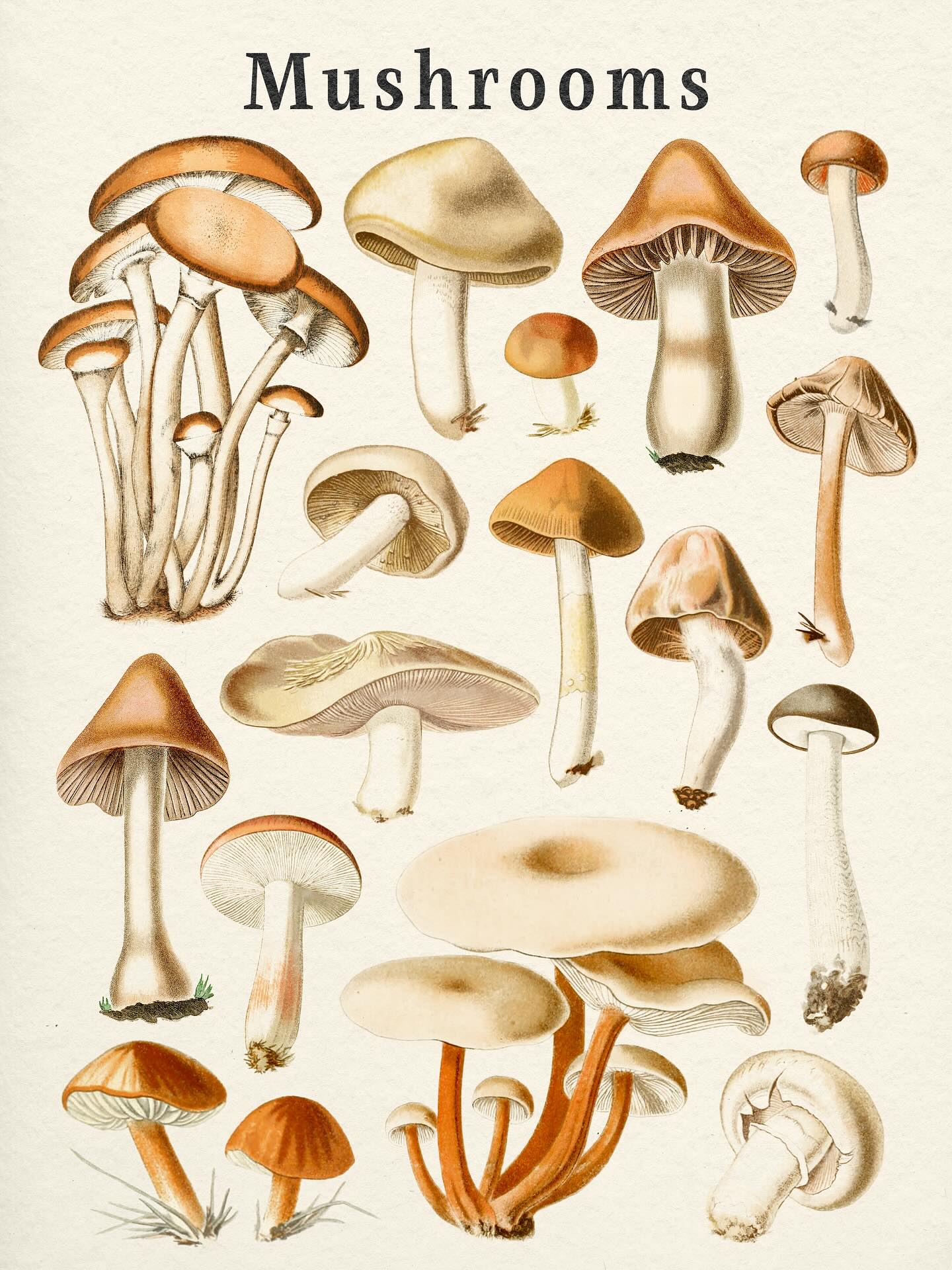 We heard orange is having a moment (or an era) 🧡