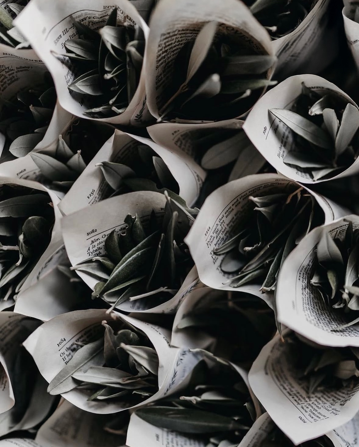 Olive leaf confetti wrapped in pages from Romeo & Juliet @weddinghelperuk ✨