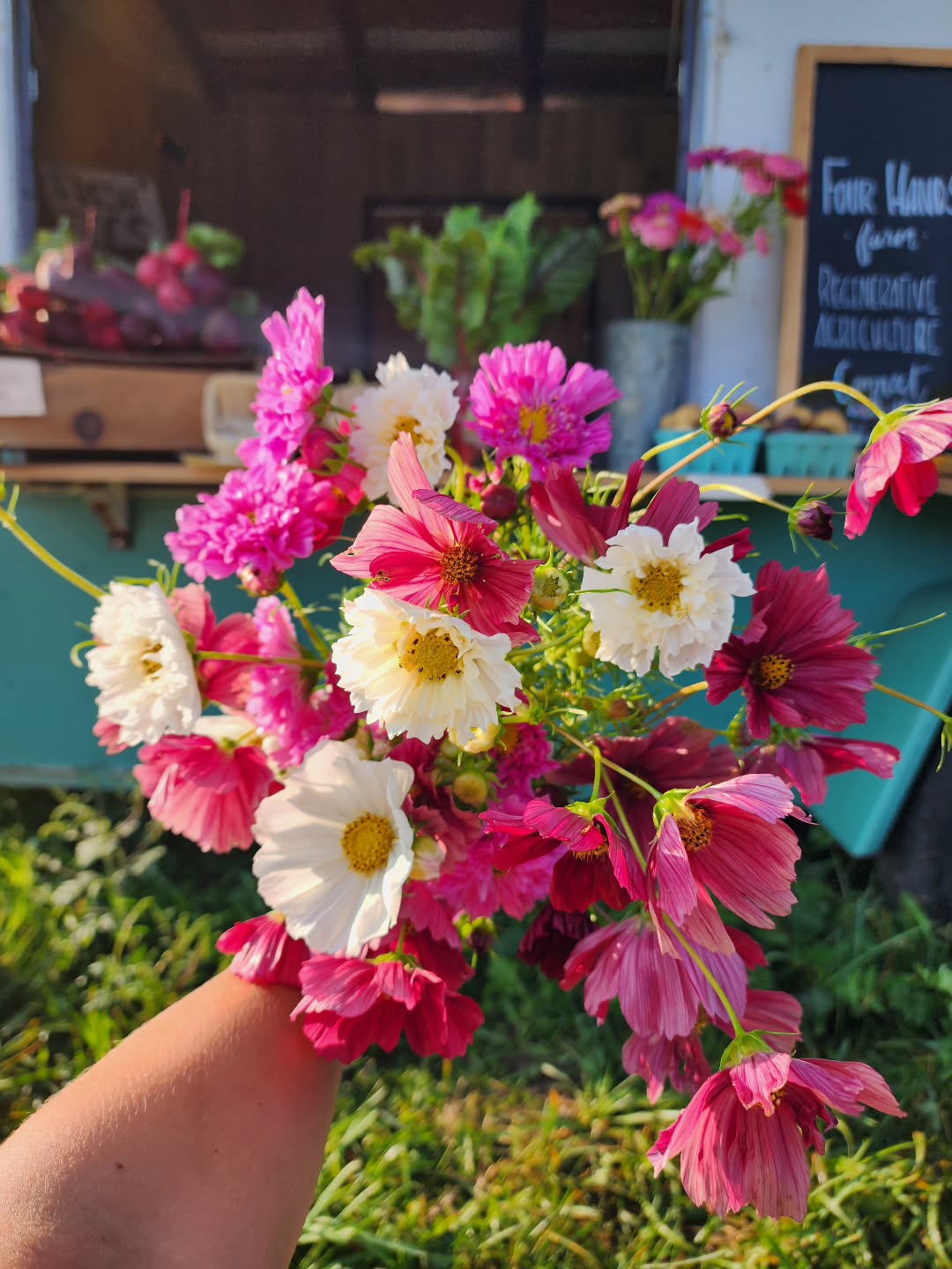 The produce is glowing, the pork is beautifully marbled, the eggs are fresh this morning...but the flowers have my heart.
Self-serve farm stand. 8 until 1 today!
6296 Meadows Rd in Dewittville.