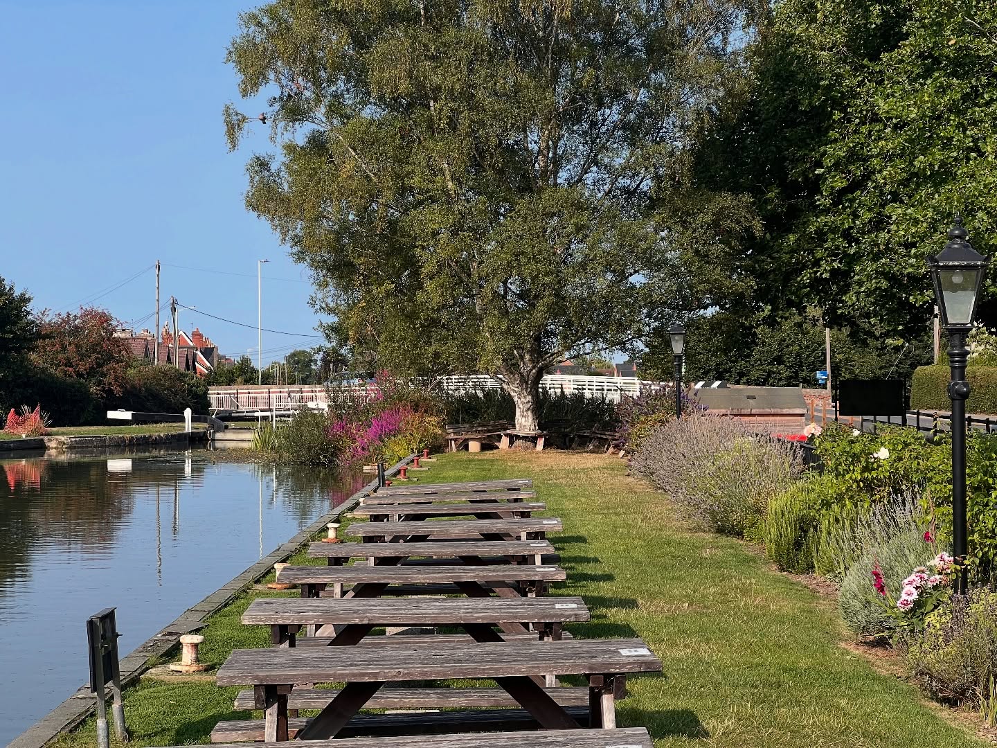 🌿 Back on it with the commercial garden contracts!
This morning we were up bright and early at The Black Horse Pub, Devizes to beat the heat 🥵 – and it did not disappoint. With that stunning view over the famous canal, it’s always a pleasure looking after this little slice of beauty.
✨ Nothing better than fresh air, great views, and keeping this spot looking its best!
#GardenCare #CommercialGardening #Devizes #CanalViews #PubGardens #LandscapingLife #BeatTheHeat #GardenGoals