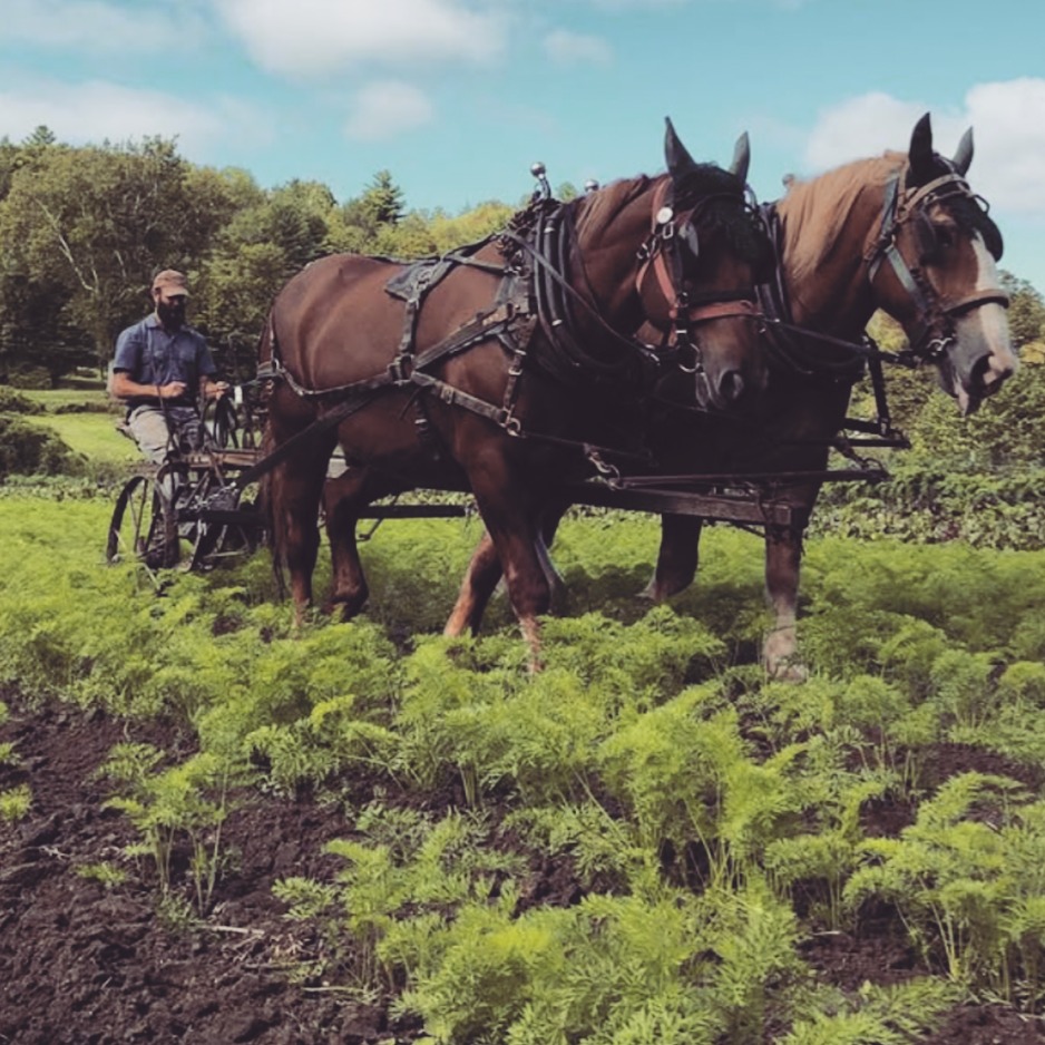 Don't miss the great interview with David from Natural Roots Farm CSA in Mass. https://online.fliphtml5.com/uhauf/rnlj/#p=20 @naturalrootscsa