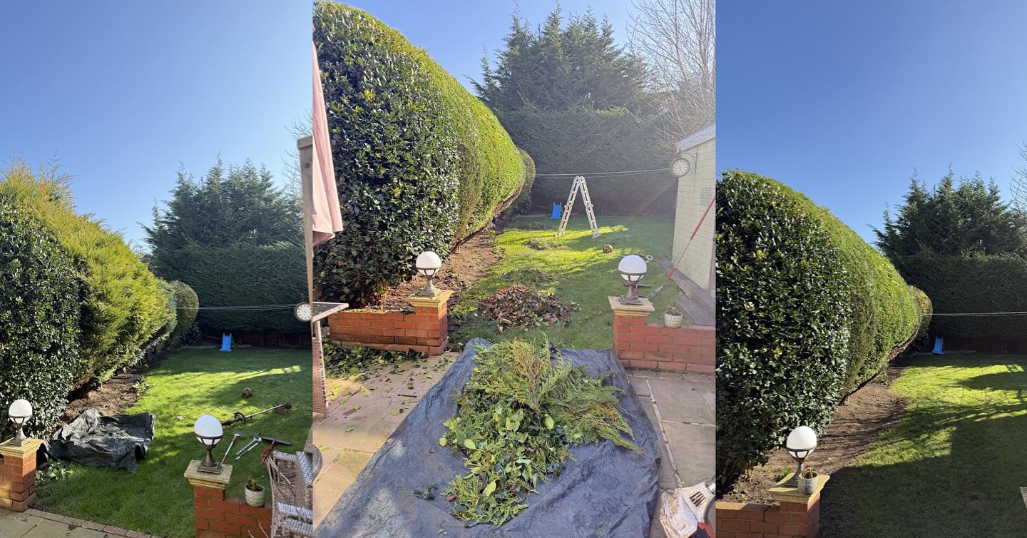 From overgrown to perfectly crisp ✂️🌿
We took this hedge from wild and unruly to clean, sharp, and beautifully shaped – instantly opening up the garden and giving it that fresh, cared-for look.
There’s something so satisfying about a tidy hedge line. Not only does it make the whole space feel bigger, it also creates a perfect backdrop for the rest of the garden to shine.
Another happy garden, ready to enjoy! 🌞
#GardenCare #HedgeTrimming #GardenMaintenance #BeforeAndAfter #GardenTransformation #Landscaping #GardeningLife #GardenDesign #HedgeCutting #GardenGoals #OutdoorLiving #LawnCare #GardenersOfInstagram #GardenInspiration #GreenSpaces #ProfessionalGardening #LandscapeDesign #Horticulture #GardenServices #BackyardGoals