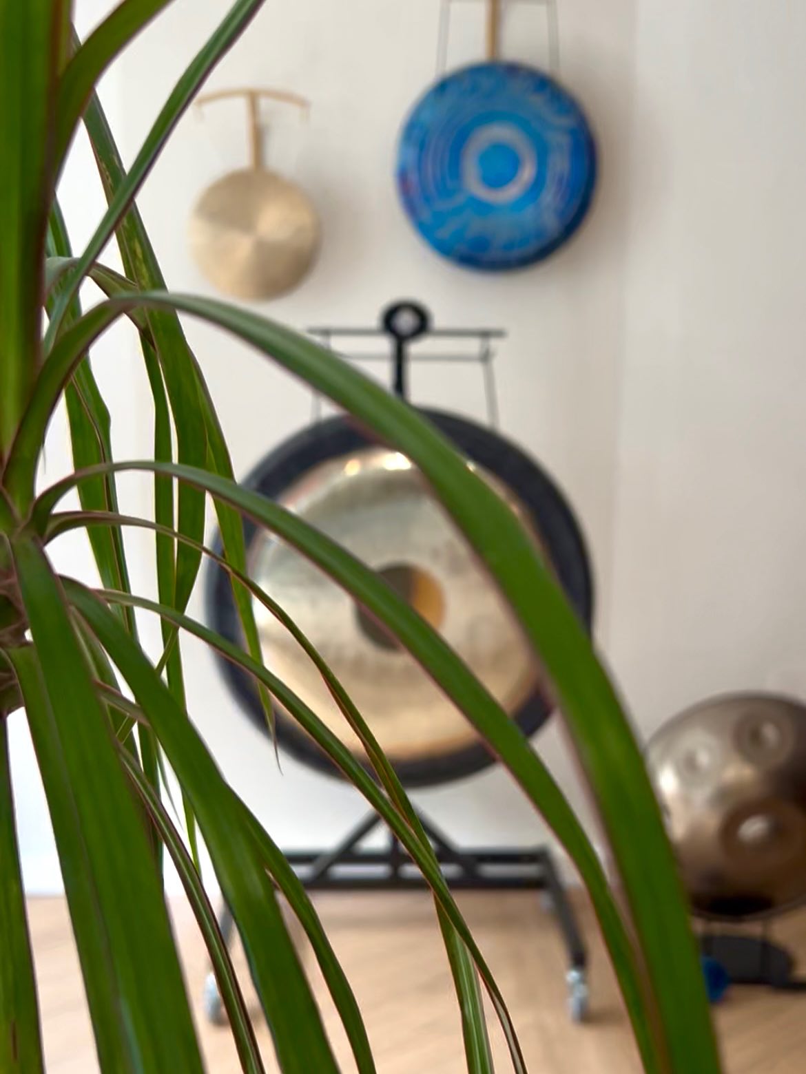 Bain Sonore 🎶✨ le calme absolu
.
Vous cherchez une relaxation profonde qui va au-delà des méthodes classiques ? Découvrez le Bain Sonore, une expérience immersive où les vibrations vous enveloppent et vous transportent vers un état de calme absolu.
.
🌀Comment cela se passe ?
Allongé confortablement, vous êtes invité(e) à vous laisser porter par les sons harmoniques de HandPan, des bols tibétains, des gongs, des carillons, de monocorde... Les vibrations traversent le corps, agissant comme un massage cellulaire qui dénoue les tensions physiques et mentales. C’est une véritable « douche sonore » pour le corps et l’esprit.
.
🌀Les effets ?
Lâcher-prise immédiat ✨Le son aide le mental à se mettre en pause.
Apaisement du système nerveux ✨ Une relaxation profonde qui réduit le stress et l’anxiété.
Harmonisation énergétique ✨Les fréquences aident à rééquilibrer votre énergie.
.
🔥 NOUVEAUTÉ DE LA RENTRÉE : Le Bain de Gongs !
Préparez-vous à une expérience encore plus puissante. Les gongs offrent des vibrations plus profondes et plus enveloppantes, pour une immersion totale et une transformation intense.
.
Restez connectés pour les dates de nos prochains Bains Sonores et Bains de Gongs !
.
➡️ Réservez votre place sur www.soundyoga.fr.
.
.
Au plaisir de vous accueillir !
.
@soundyoga.fr
.
.
.
#bainsonore #soundbath #relaxationprofonde #sonotherapie #sonothérapie #BainDeGongs #LacherPrise #BienEtre #Meditation #YogaDuSon #Nouveauté #Compiegne #soundyogacompiegne #bainsonoreoise #bainsonorevibratoire #compiègne #compiegne_tourisme #compiegnagglo #vibration #vibrationhealing #soundhealingtherapy