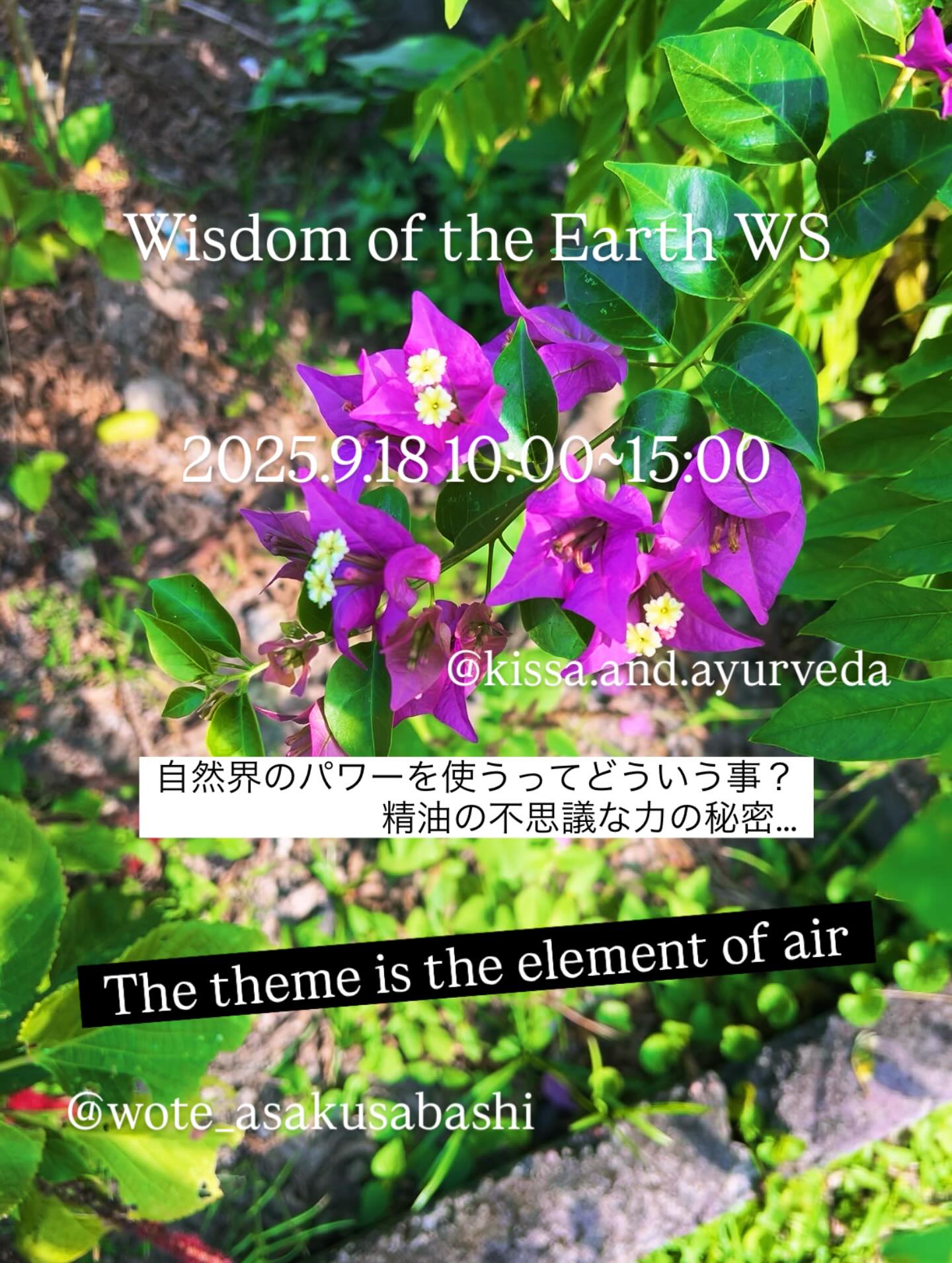 ・
Wisdom
of
the
Earth
WSのお知らです
自然界のパワーを使うってどういう事?
精油の不思議な力の秘密…
精油の中にはエレメント(元素)が凝縮されている。
なぜなら蒸留する過程で植物は様々な元素と混ざり合う事で、1つ次元を上げていくから。
Water(水)
Fire (火)
Air (気)
Earth (土)
これらの元素が入った精油は人の心と結びつく事が出来る。
そんなの信じない?
それは、本当に感じられるよ…
私達がそれに目を向けさえすれば。
人は潮が満ちる時に産まれて
潮が引く時に死んでいく
星座も四つのエレメントに分かれているし、
中医学の五行も
アーユルヴェーダのドーシャも
自然界の元素を元に考えられている。
万物の元となる自然の元素達
世の中にはエレメントに基づいた考えがこんなに溢れているのに、
私達の心はどうしてこんなにも自然界と切り離されているんだろう。
エレメントの知識や考え方を知るだけではなく、植物達を、地球を体感として感じて欲しい。
自然界の元素を
人生の魔法としては使うには、
きっとそれが必要だから…
沢山あるWisdom of the Earth の精油の中からエレメントのテーマに沿った精油を使って、自分の中の感覚に気がついていくワークショップです。
後半は庭の植物やハーブを使った魔女的クラフトも作ります
〜ゲーテのファウストの一説より〜
“その薬を作るには、技術と知識だけでなく、忍耐というものがなくちゃならない。気の長い奴が、何年も何年も時間を惜しまずに作る「時」の力が働いて、初めて霊妙な発酵物ができるんです…”
何を作るかお楽しみに!
第三回
AIR
精油を使ったワーク
@wote_asakusabashi
魔女のクラフト作り
@kissa.and.ayurveda
日時
2025.9.18 10:00〜15:00
参加費
15,000円
(季節の食材を使用したランチとハーブティー付き)
場所
キッサアンドアーユルヴェーダ
埼玉県熊谷市須賀広291
ご予約 お問い合わせは
@wote_asakusabashi @kissa.and.ayurveda
@kitchen.pharmacy.laboratory dmより承ります