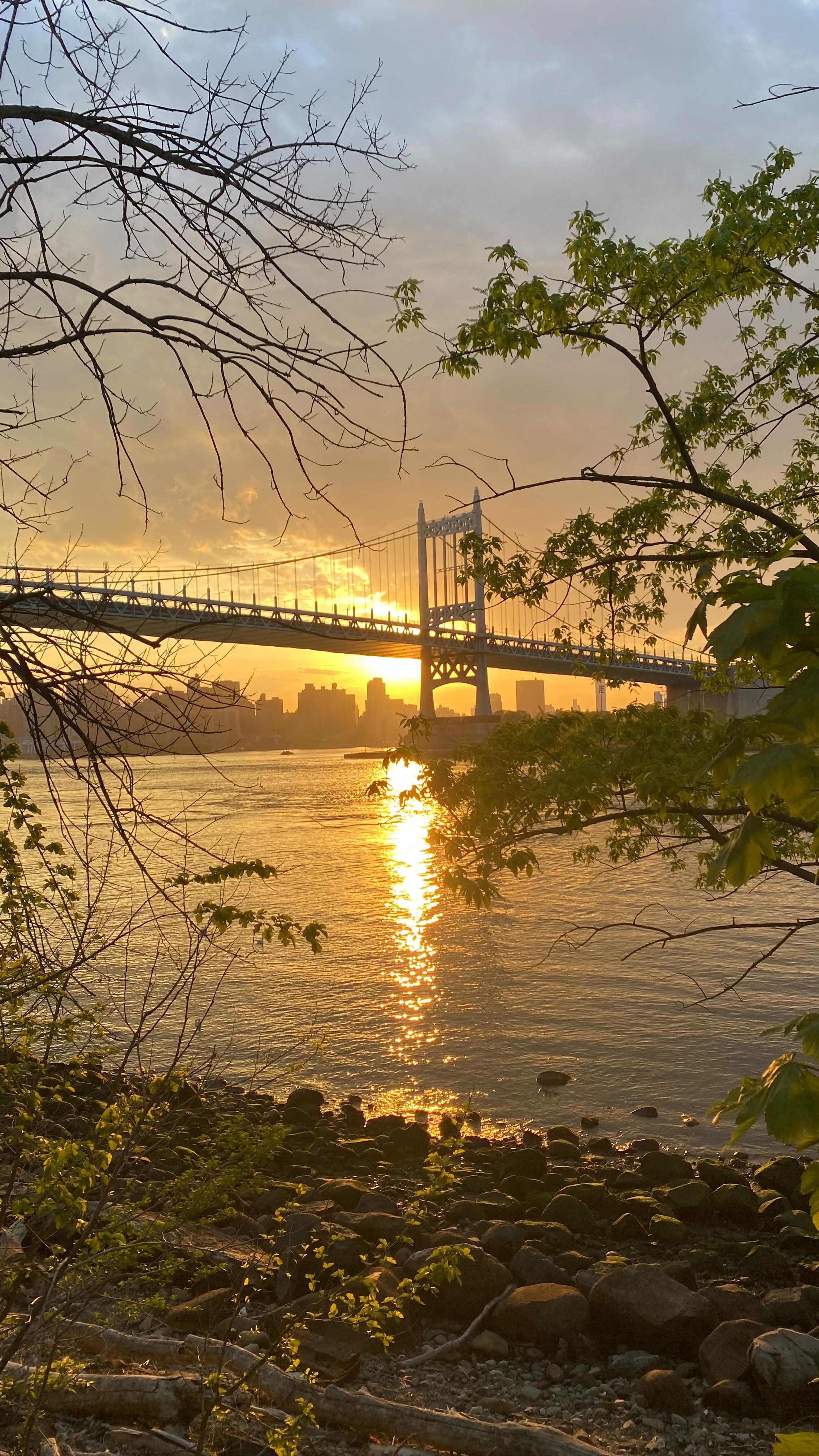 🎙️S1E5: The Bridge Between Us
…
In this week’s episode, I explore the concept of boundaries, sharing my personal experiences and insights on their importance in maintaining healthy relationships. I distinguish between boundaries, ultimatums, expectations, and demands, emphasizing the need for clear communication and self-awareness and I also discuss the role of anger in recognizing and asserting boundaries; encouraging listeners to embrace their emotions as tools for self-protection and growth.
…
🔗 Link in bio to listen (or wherever you get your podcasts). New episodes go live on Wednesdays.
…
#kaiaevolutions #alchemyinmotion #embodiedalignment #letsremembertogether #letsrememberpodcast #podcast #purelittlesistertransforming #somaticintegration #nervoussystemregulation #embodimentpractices