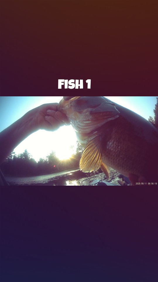 Catching a few as the sun was going down π
π£
#fishingobsession #fishnh #fishlove #womenwhofish #kayakfishing #bassfishing #newhampshireoutdoors #hobiefishing #ladiesslay #samatisbaits #pondhopping