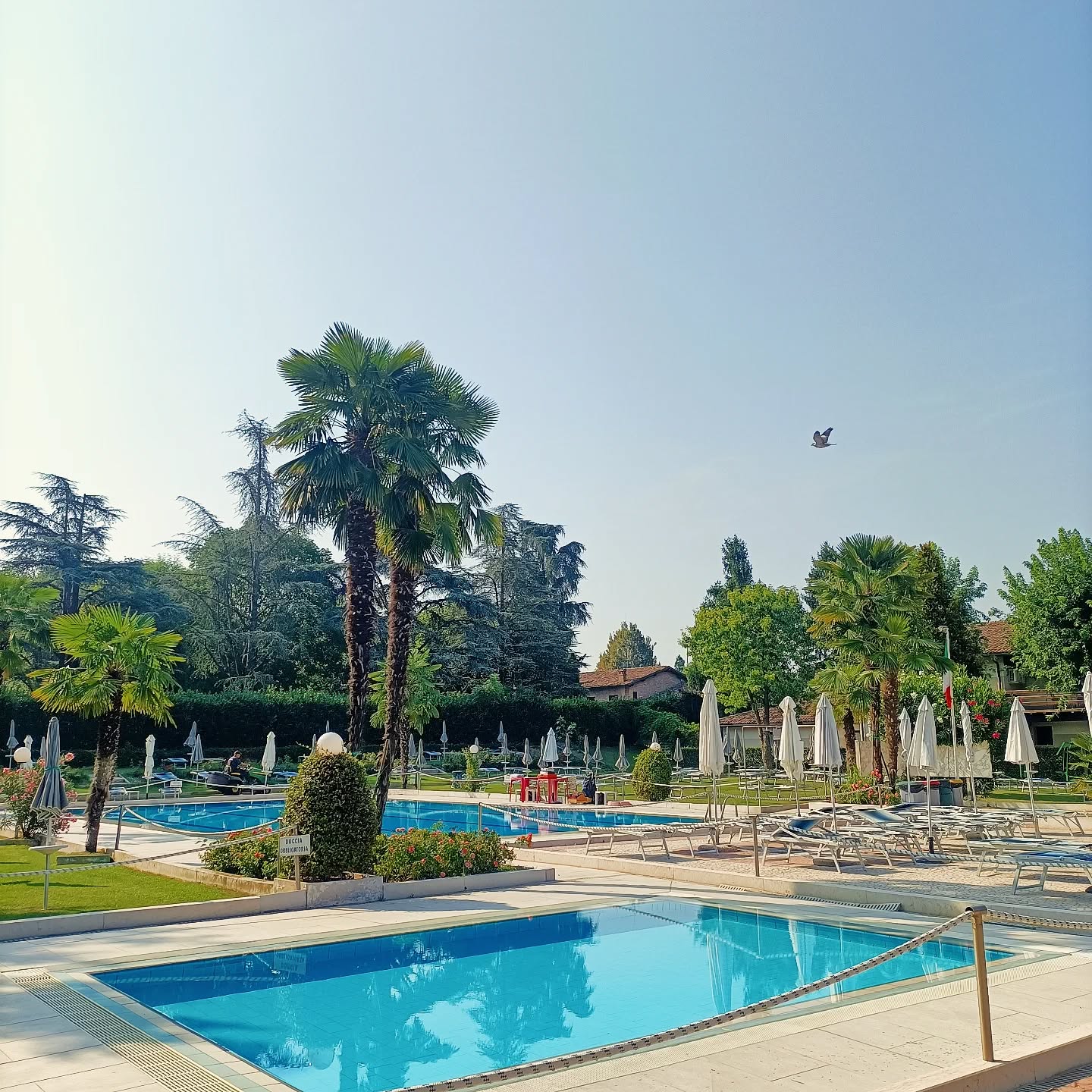 🎉🌊 Ferragosto al Green Club! 🌊🎉
Le nostre piscine ti aspettano dalle 09:30 alle 19:30 per una giornata di puro relax e divertimento.
☀️ Sole, tuffi, risate e atmosfera d’estate ti attendono per una giornata indimenticabile! Porta il costume, la crema solare e la voglia di goderti ogni momento.
📍 Piscine Green Club – dove il #ferragosto si fa in piscina.
💙 #FerragostoInAcqua #GreenClub #Piscina #SummerVibes #RelaxAndFun #piscinegreenclub #estategreenclub #EstateInCittà #piscinaestiva