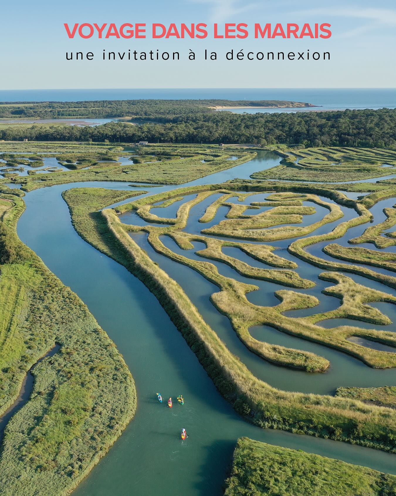 🌿✨ Le voyage dans les Marais ✨🌿
Embarquez pour une aventure en kayak au cœur des marais talmondais ! Découvrez un écrin de biodiversité et d’histoire lors d’une balade guidée de 2h par un moniteur diplômé.
Plongez dans l’univers fascinant des marais : leur faune, leur flore, et l’ingéniosité humaine qui a façonné ces paysages pour la production de sel et les marais à poisson.
📍 Départ : Plage du Veillon
⏳ Durée : 2h
💡 À savoir : Réservation obligatoire (départs selon les marées).
Une expérience unique pour explorer un patrimoine naturel et culturel préservé !
👉 Réservez vite vos places ! Lien en bio!
#marshes #saltmarshes #talmontsainthilaire #plageduveillon #kayak #canoe #naturelover