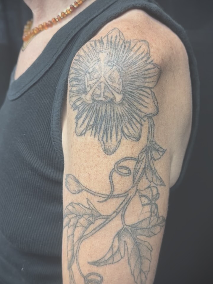 It’s my birthday today, and I thought I’d post a sleeve I just finished that became one of my favourite pieces I’ve done!
-
This is a passionflower vine (with some little spider friends hidden throughout) on one of the most amazing Julie James from @greenwisdom. She is a well of knowledge about the chemistry of plants and their interaction with the human body and I’m so grateful for all her generosity with her knowledge with me, in these wonderful times I’ve spent with her.
-
Thank you endlessly and wishing you infinite happiness and peace.
-
#botanicaltattoo #passionflowertattoo #passionflower #greenwitch #finelinetattoos #scientificillustrationtattoo