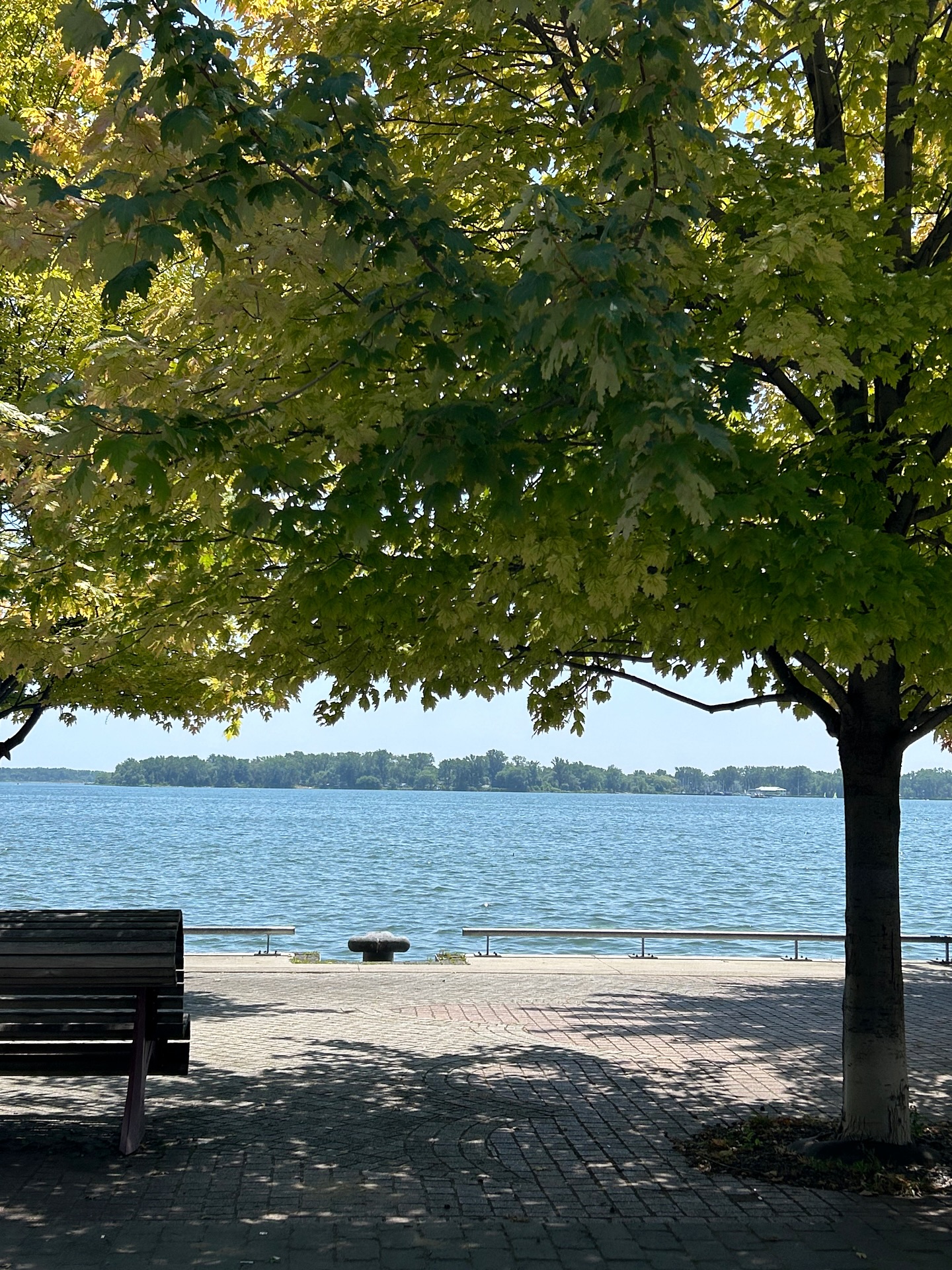 Summer forever please <3