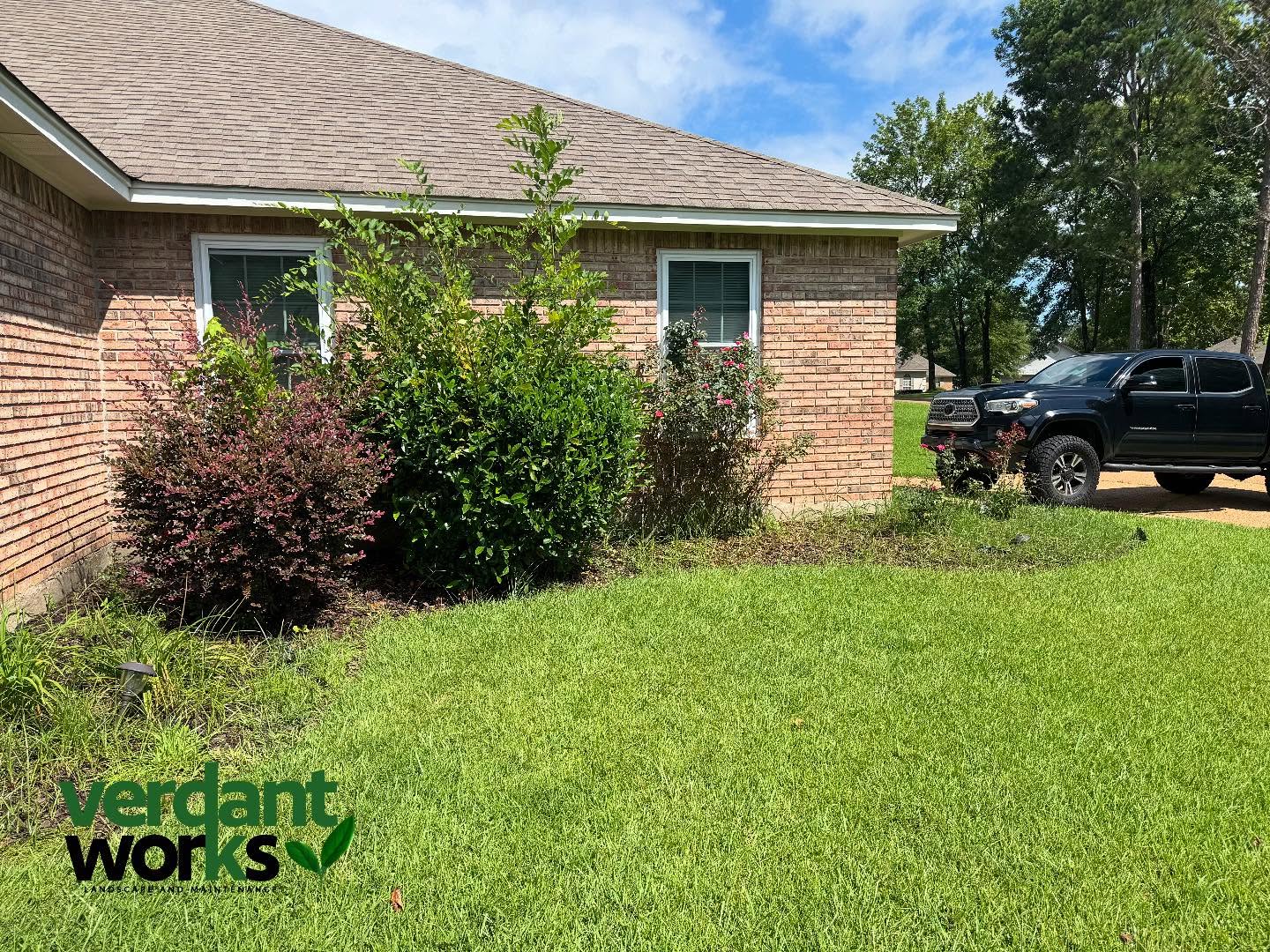 Before VS After
Weeded this entire bed by hand for our client. We also trimmed and shaped up hedges and edged the bed for a more refined look. Give us a call today for a quote!🎯🌱 #Landscape #Weeding #Edging #Trimming #VerdantWorks