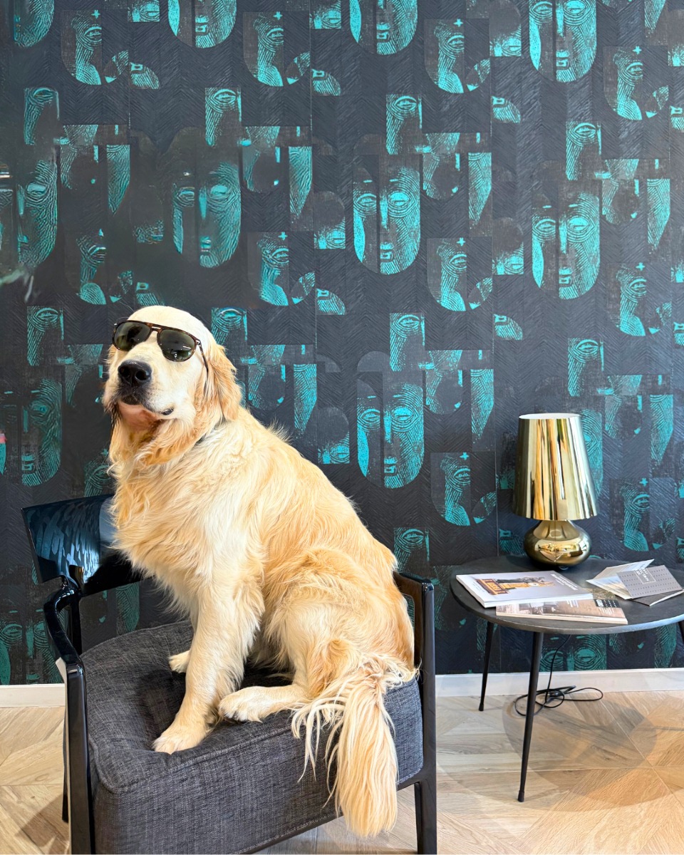 ๐๐จ๐ฎ๐ญ ๐ฅ๐ ๐ฆ๐จ๐ง๐๐ (๐จ๐ฎ ๐ฉ๐ซ๐๐ฌ๐ช๐ฎ๐) ๐๐ฌ๐ญ ๐ฉ๐๐ซ๐ญ๐ข ๐๐ง ๐ฏ๐๐๐๐ง๐๐๐ฌโฆ ๐๐๐ฎ๐ซ๐๐ฎ๐ฌ๐๐ฆ๐๐ง๐ญ ๐ช๐ฎ๐ ๐ฃ๐ ๐ฌ๐ฎ๐ข๐ฌ ๐ฅ๐ฬ ๐ฉ๐จ๐ฎ๐ซ ๐ฉ๐ซ๐๐ง๐๐ซ๐ ๐ฅ๐ ๐ซ๐๐ฅ๐ฬ๐ฏ๐ ! ๐พ
Pendant que certains avocats du cabinet sont en congรฉs, je veille sur les bureaux de Mondeville.
En renfort pour le mois dโaoรปt, je garde un ลil sur les dossiers entre deux siestes (bien mรฉritรฉes) ! ๐
๐๏ธ ร la rentrรฉe, toute lโรฉquipe sera de retour et reprendra le flambeau (ouf je vais enfin pouvoir me reposer).
En attendant, si vous avez besoin dโun rendez-vous, je transmets les messages ! ๐ฌ
Moi Uber, assistant juridique ร 4 pattes, je vous souhaite un bel รฉtรฉ ! โ๏ธ
#LBCLAvocats #Mascotte #Vacances #Cabinet #Humour #Juridique #Team #Equipe #Mondeville #Droit #Avocats