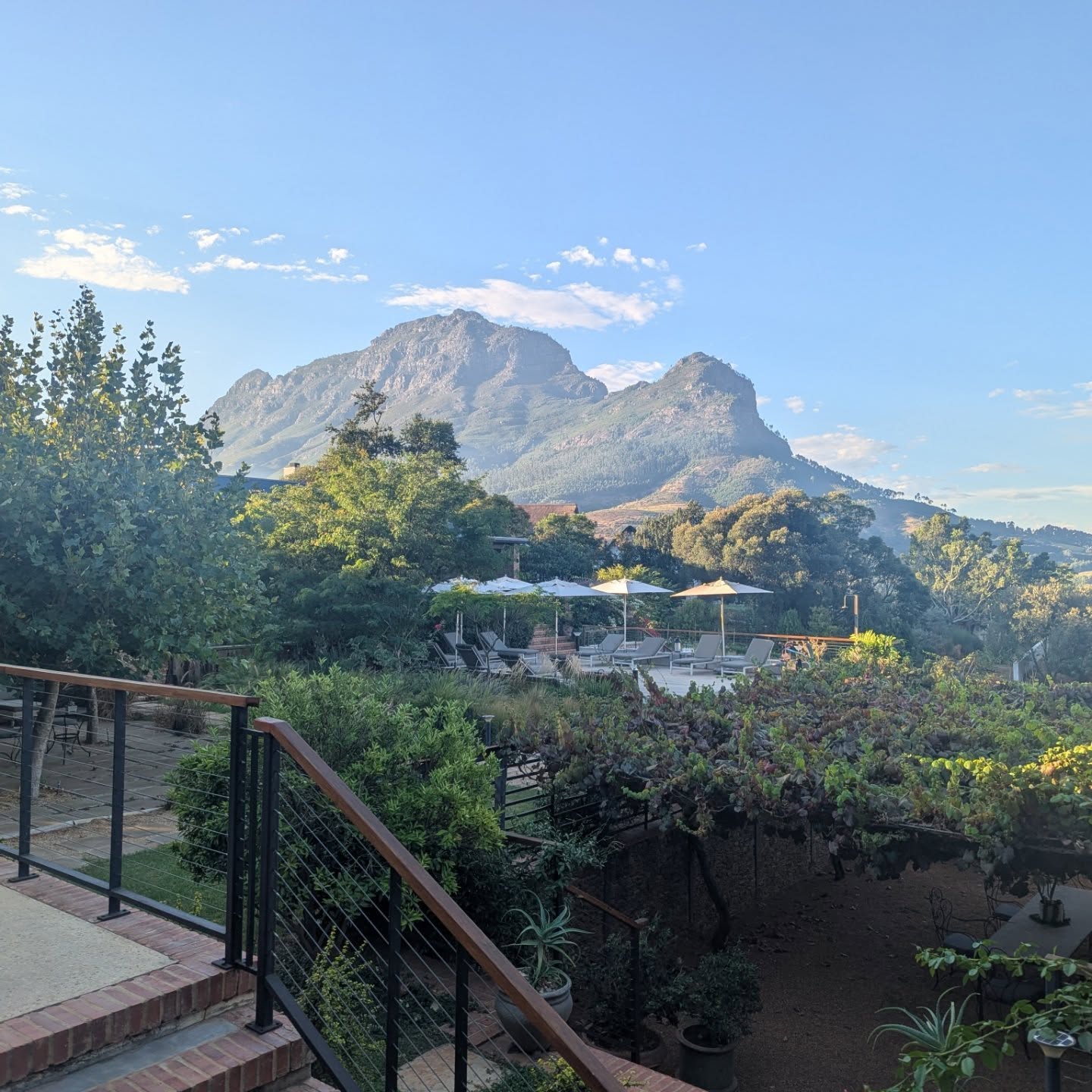 I thought I'd share some pretty scenery pictures from earlier in this year in South Africa during these turbulent times.
I got "lucky" and had both of my containers arrive last week during a brief window extension before higher tariff rates hit. Even just 10% doubles my customs costs (I'm paying around 7k in tariffs, around 6k in regular customs costs for two containers). To be clear this money does not come from the countries I import wine from. This money comes from my business account. I have a plan in place to minimize my price increases, and I'm able to execute that plan with a 10% rate. At 15% and 30%, the price hikes would be much worse. Seven grand is not a lot of money to someone like the president, but for a small business, with small margins, it is still a hit.
A tariff is a tax. On US small (and large) businesses, and eventually on the end product user. Is that money going to go towards better health care? Infrastructure? Something to better the lives of American people? I could handle that, but under this administration? No way. A golden ballroom, golf trips, birthday parades for a grown ass man, and taking unnecessary federal control over D.C. I wasn't nervous to go into the District last week for work. Now I am. Even as a white, hetero person coming in with a whole lot of privilege. It hasn't even been 7 months yet.
Anyway, here are some pretty pictures.