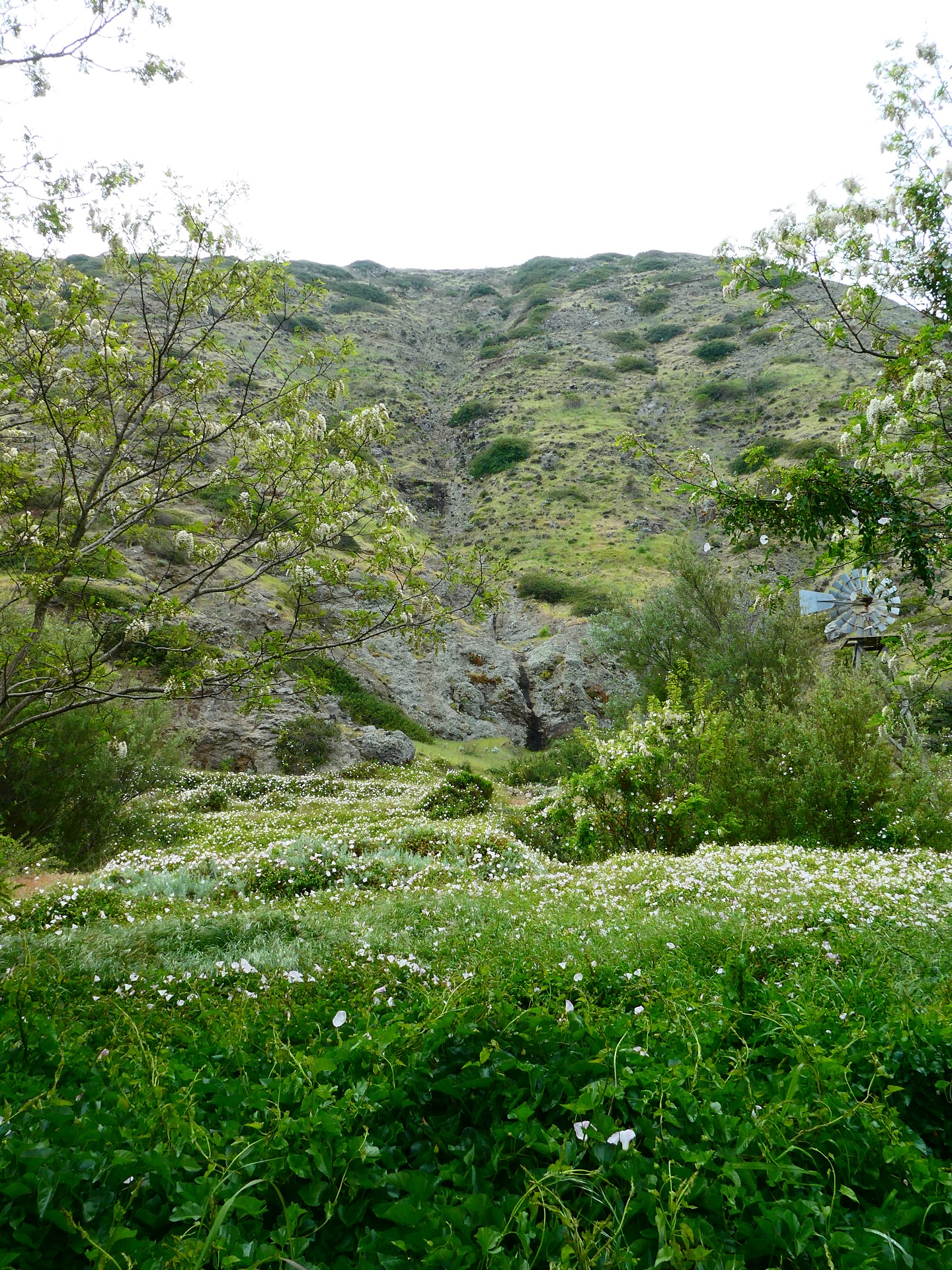 Throwback to a spring day in Channel Islands National Park 🐋🌼🦊 (and check out my full travel guide on @travelandleisure)