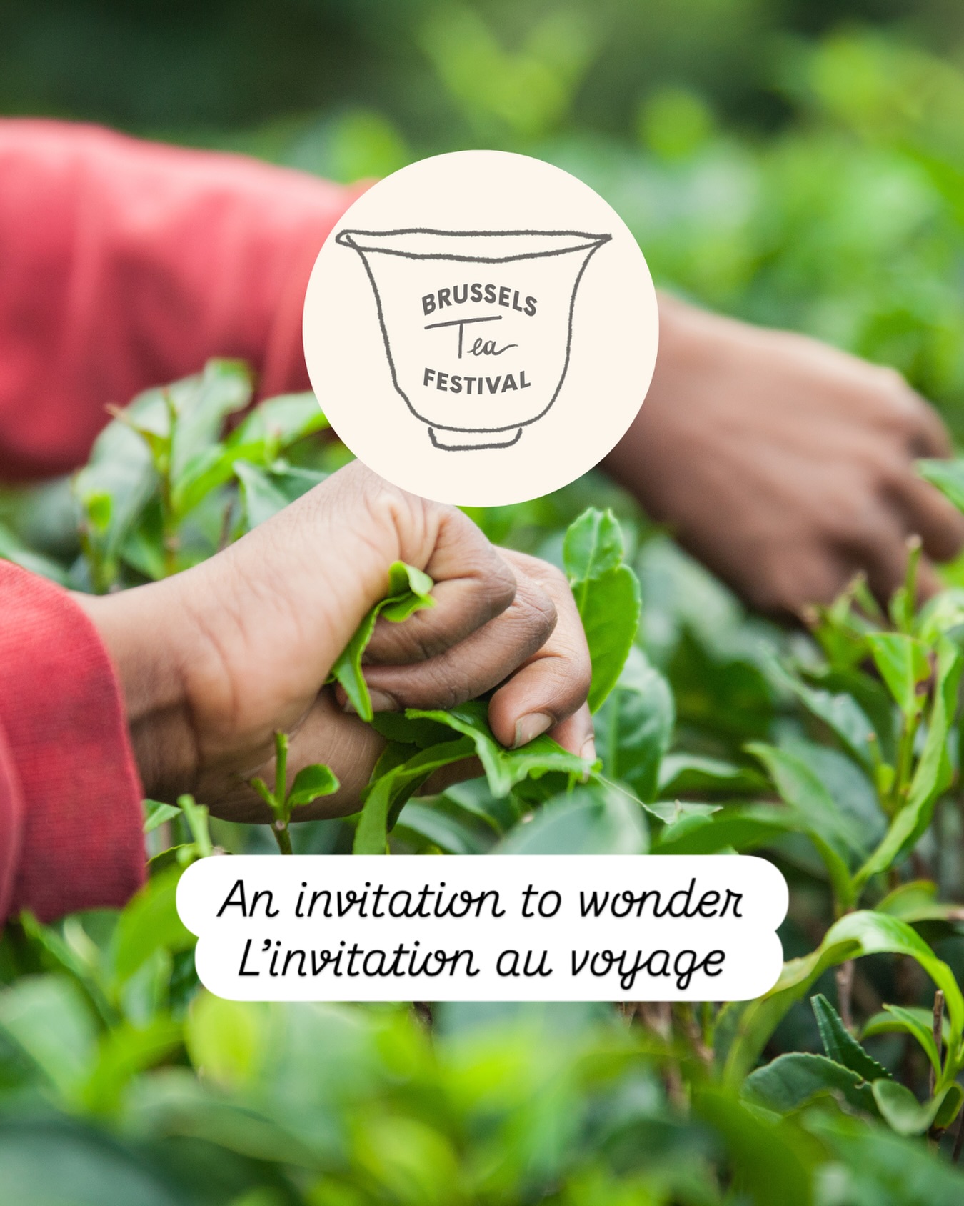 🇬🇧 An Invitation to Wonder
🌍 Over 40 exhibitors from around the world
🎤 Talks, demos & workshops led by Belgian and international tea experts
🍵 Tastings, stories, discoveries
The Brussels Tea Festival® is a full day to explore tea in all its forms, from tradition to innovation, from leaves to conversations.
A day to taste, feel, listen, and let yourself be surprised.
And if Magritte had painted a teacup? Perhaps it would look like nothing. But sipping it… you’d understand everything.
📍 Flagey – Brussels
🗓️ Sunday, September 28, 2025
⏰ 10am – 6pm
🎟️ Tickets available on Flagey’s website (link in bio)
—
🇫🇷 L’invitation au voyage
🌍 Plus de 40 exposants venus du monde entier
🎤 Conférences, démonstrations et ateliers animés par des experts belges et internationaux
🍵 Dégustations rares, partages, découvertes
Le Brussels Tea Festival®, c’est une journée pour explorer toutes les dimensions du thé, entre tradition, création et transmission.
Une journée pour sentir, goûter, écouter, s’émerveiller.
Et si Magritte avait peint une tasse ? Peut-être qu’on n’y verrait rien. Mais en la buvant… on comprendrait tout.
📍 Flagey – Bruxelles
🗓️ Dimanche 28 septembre 2025
⏰ 10h – 18h
🎟️ Billets en vente sur le site de Flagey (lien en bio)
#BrusselsTeaFestival #CeciNestPasUnFestival #EspritMagritte #Flagey #BTF2025 #BrusselsVibes #ThisIsNotAFestival #SpiritOfMagritte #BRUSSELSTEAFEST