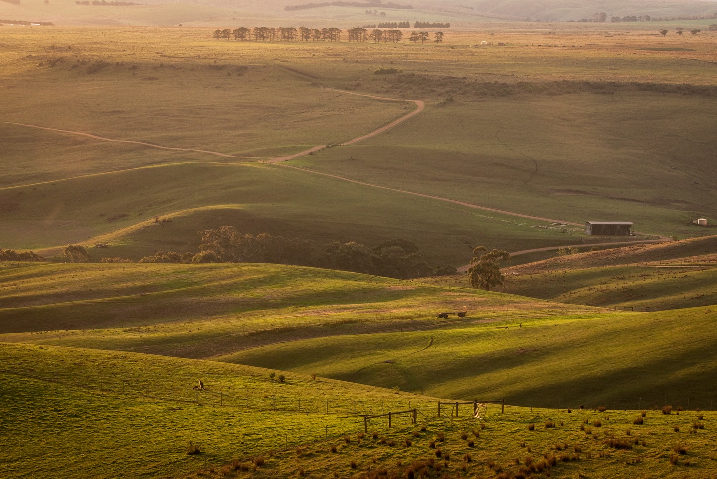 Spring is in the air, and the afternoon light made me pause… really pause. The rolling hills bathed in gold reminded me to notice the world around me—the way shadows stretch, the grass sways, the earth breathes. Moments like this make it easy to forget time and just be present. Where do you slow down and notice the small wonders around you?
————————
#rollinghills #goldenlight #naturelovers #landscapephotomag #landscapemagic #naturephotography #chasingthelight #visualsoflife #momentsthatmatter #sony #girlwithacamera
