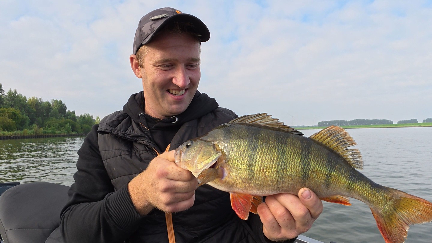 💥 ZACK! Was für ein brutaler Fang von unserem Kunden! Dieser Raubfisch hat voll durchgezogen – ein echter Kämpfer. Respekt für diesen Hammer!
#yamahaprofishing #batterylabs #lurefishingguide